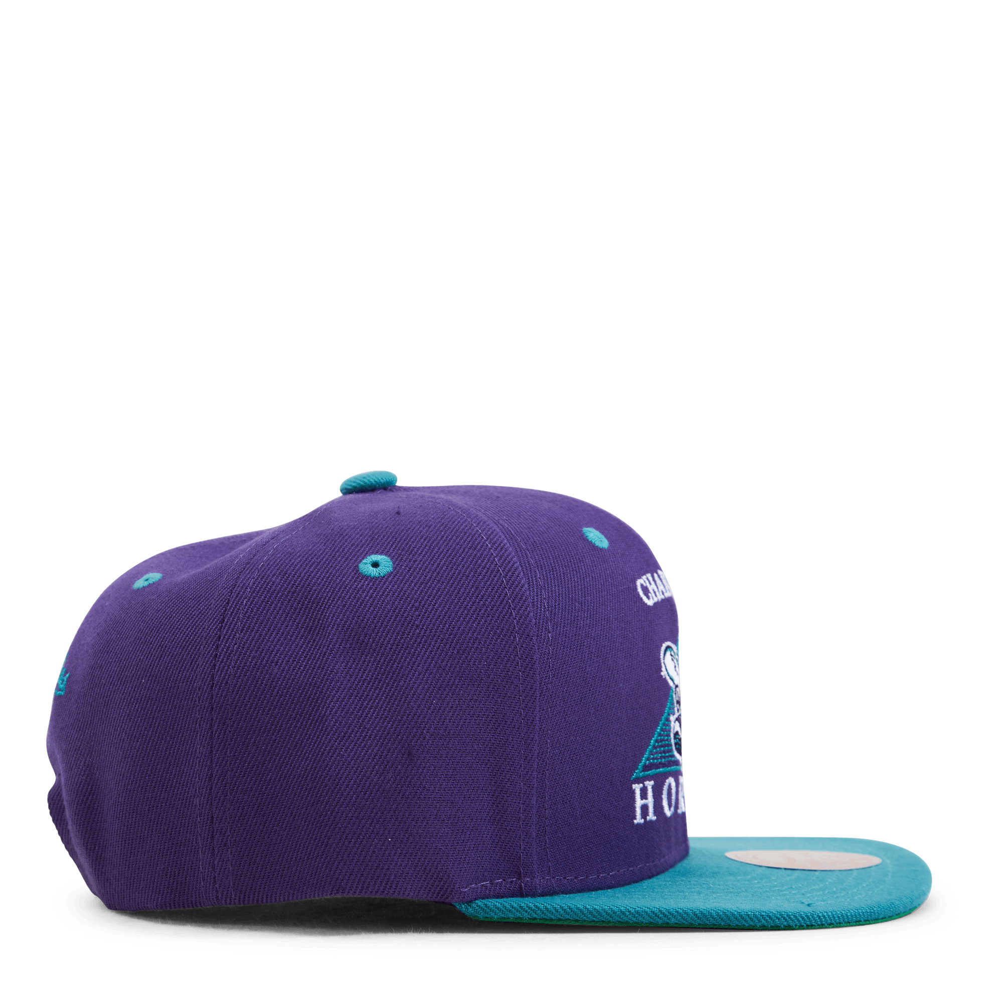 Hornets Monument Snapback HWC