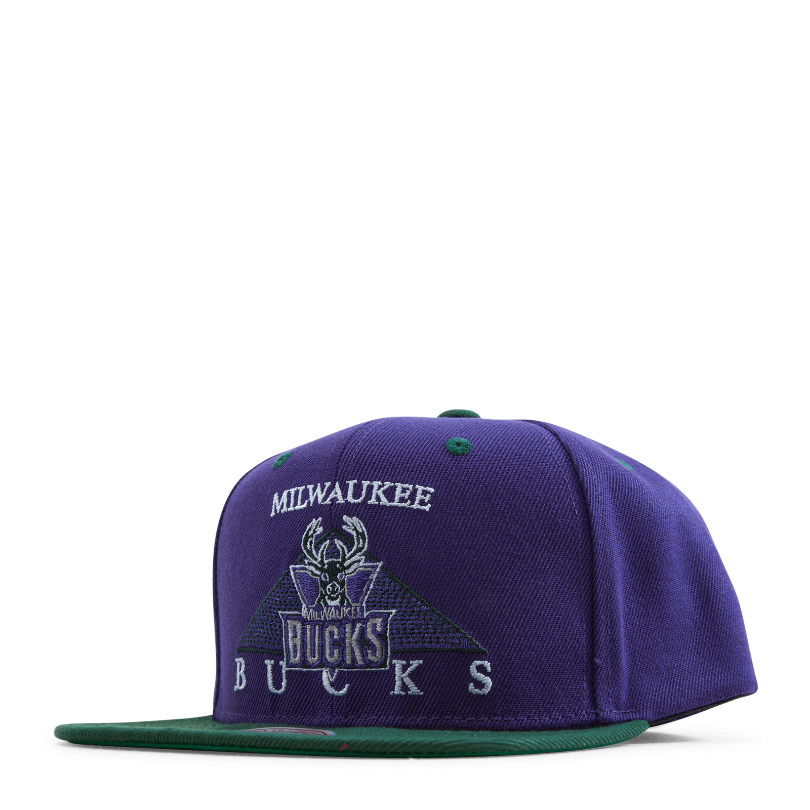 Bucks Monument Snapback HWC