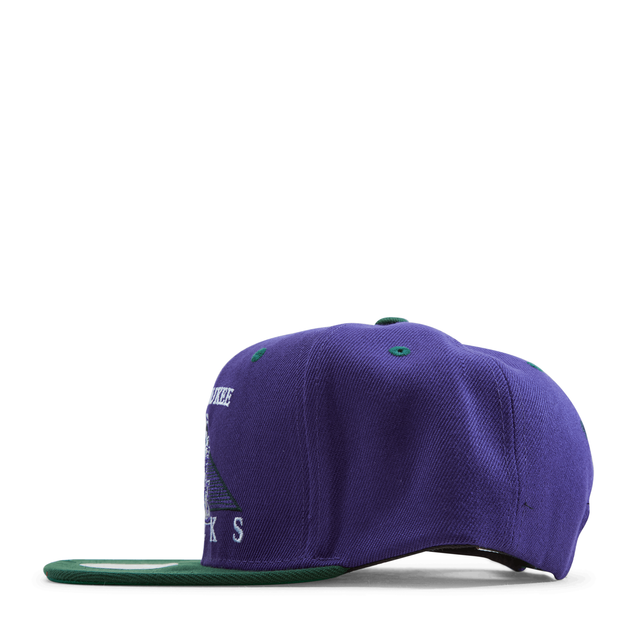 Bucks Monument Snapback HWC