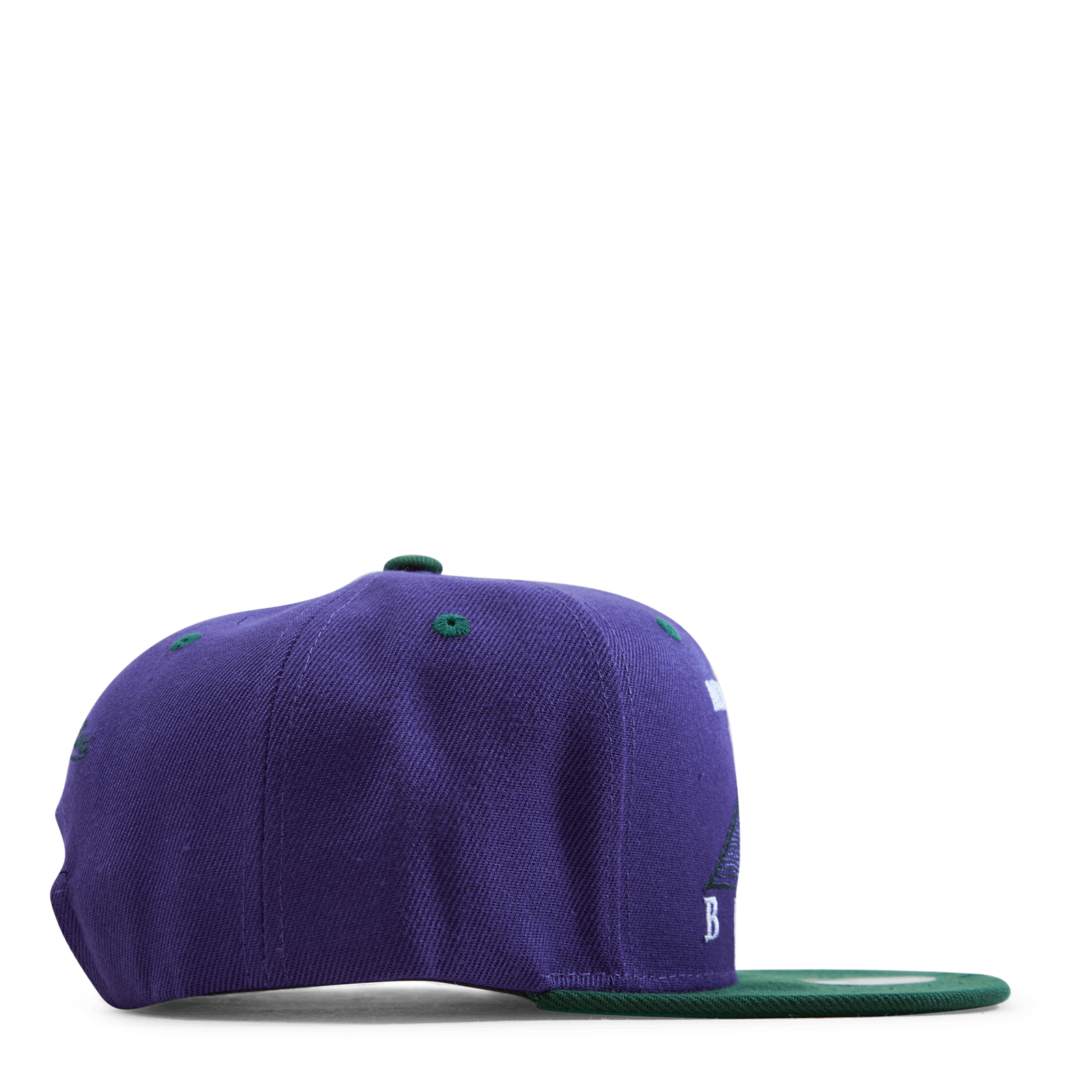 Bucks Monument Snapback HWC