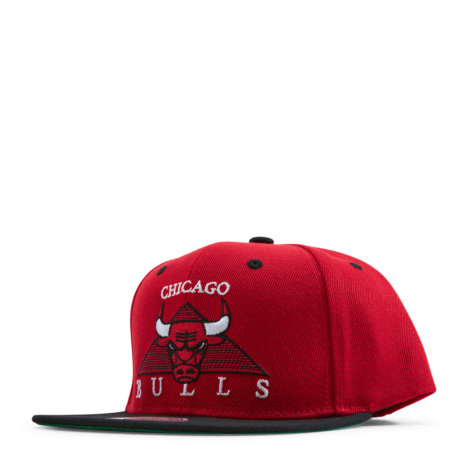 Bulls Monument Snapback