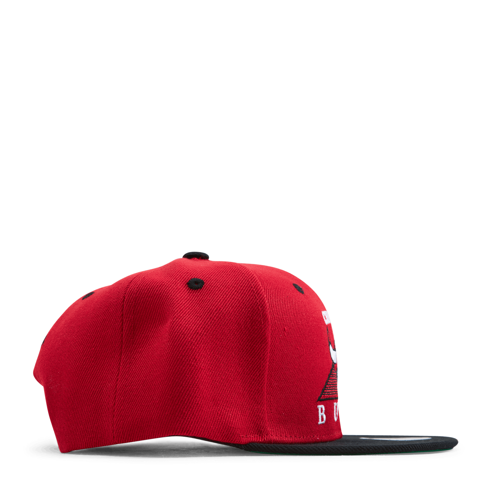 Bulls Monument Snapback