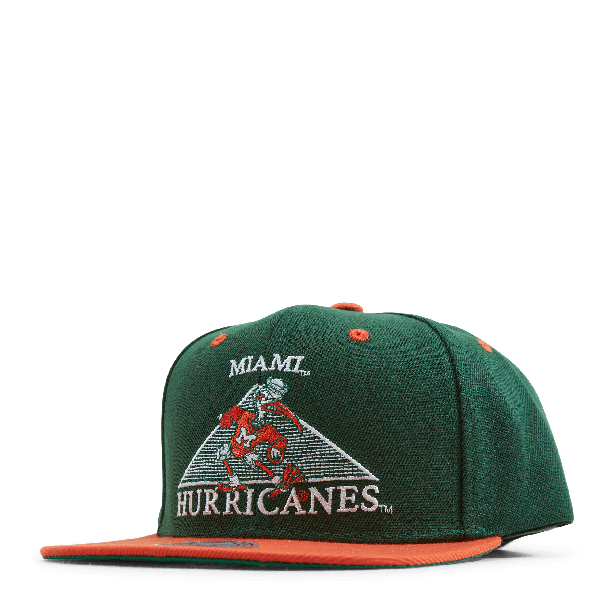 Monument Snapback