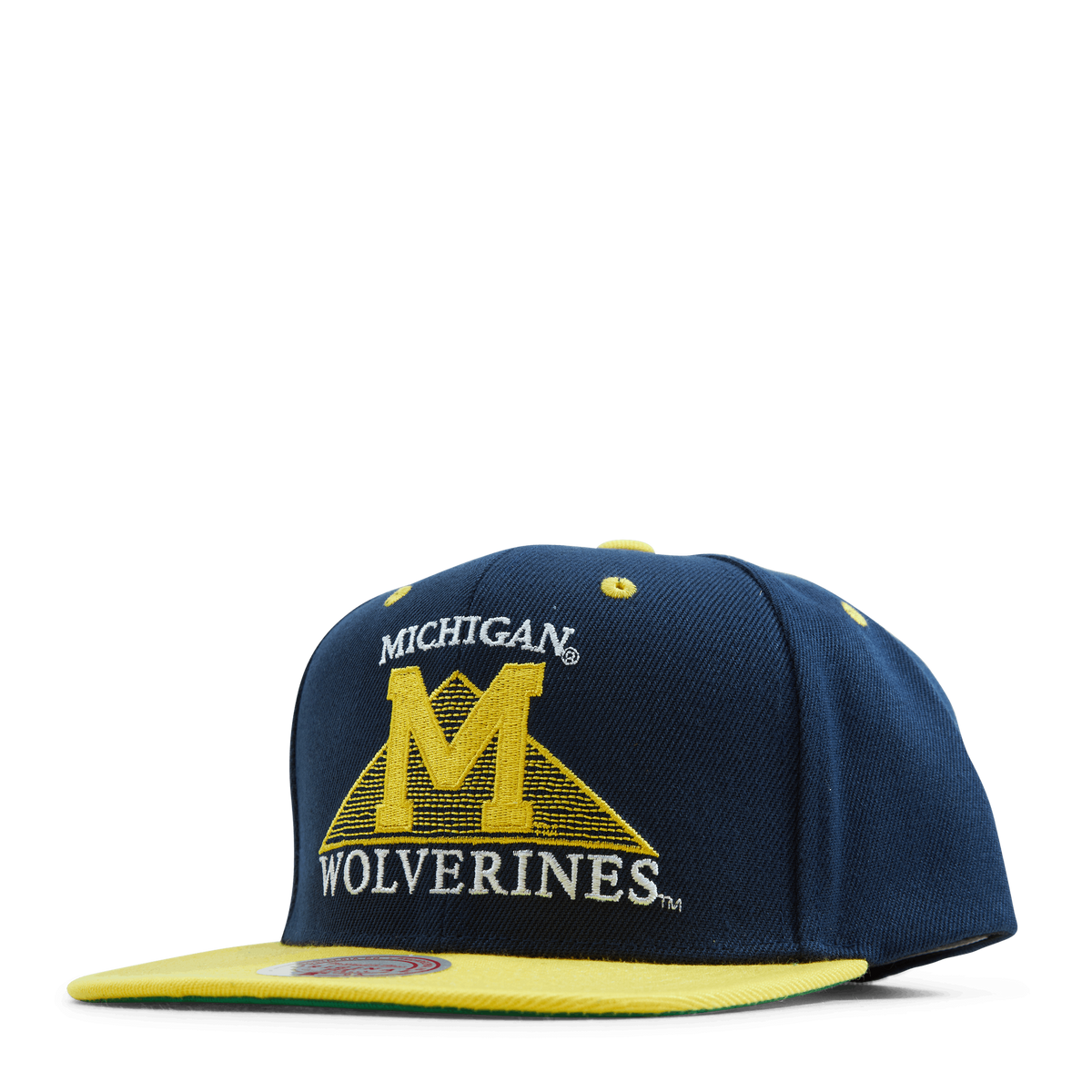 Michigan Monument Snapback