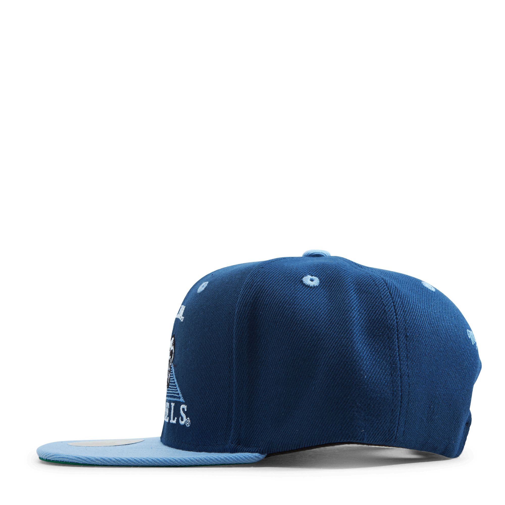 UNC Monument Snapback