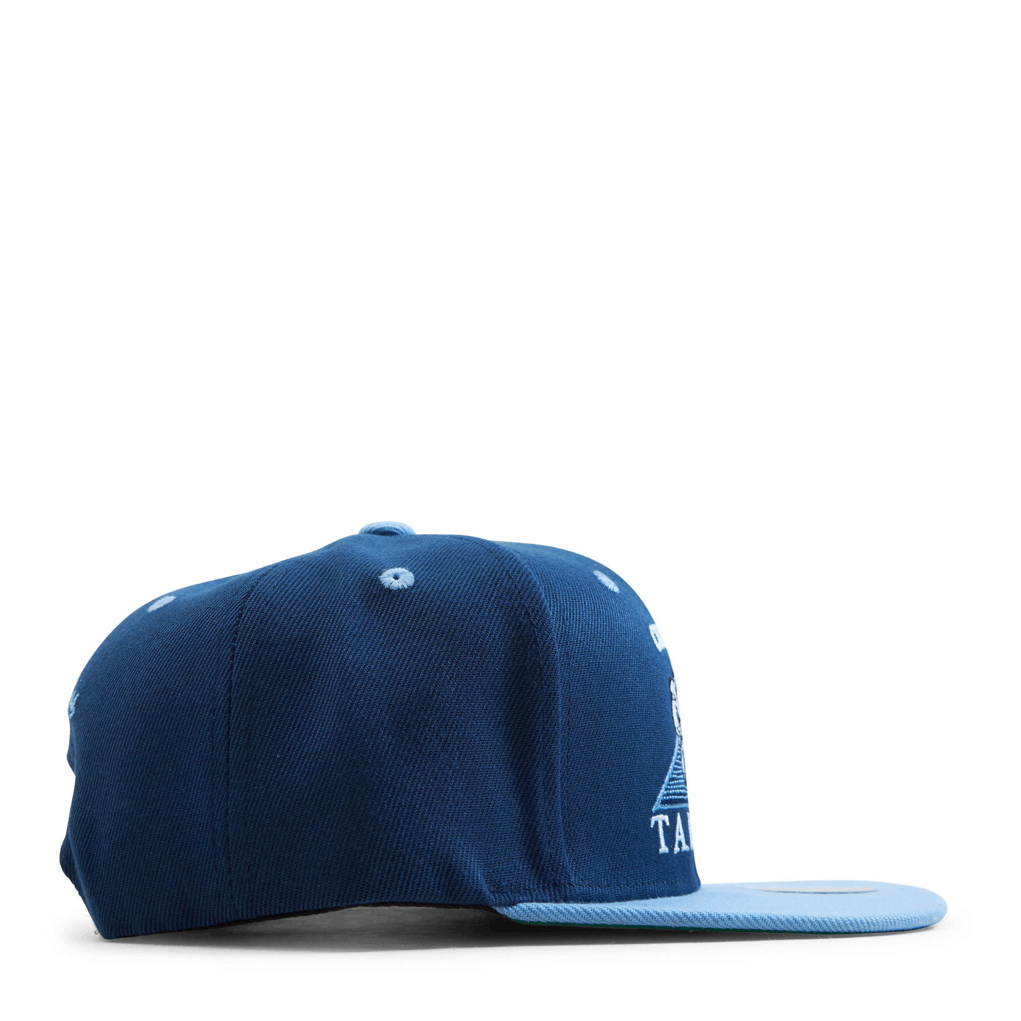 UNC Monument Snapback