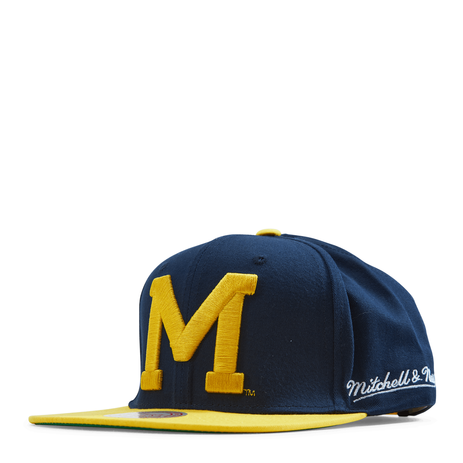 Michigan Back In Action Snapback
