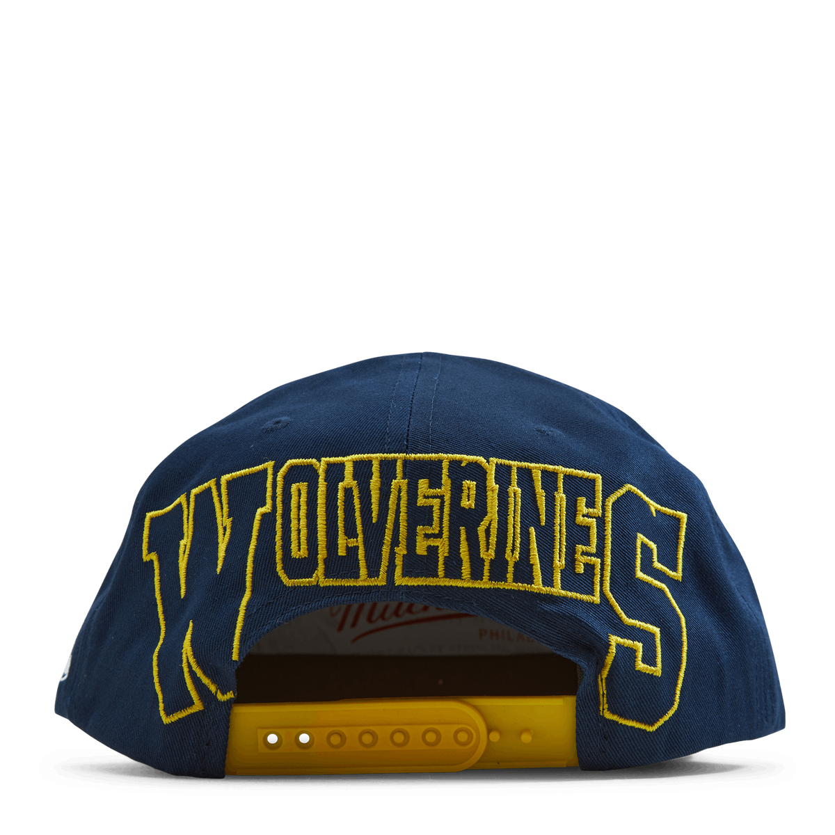 Michigan Back In Action Snapback