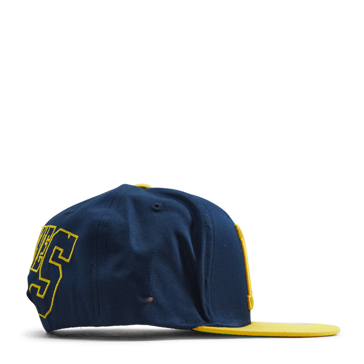 Michigan Back In Action Snapback