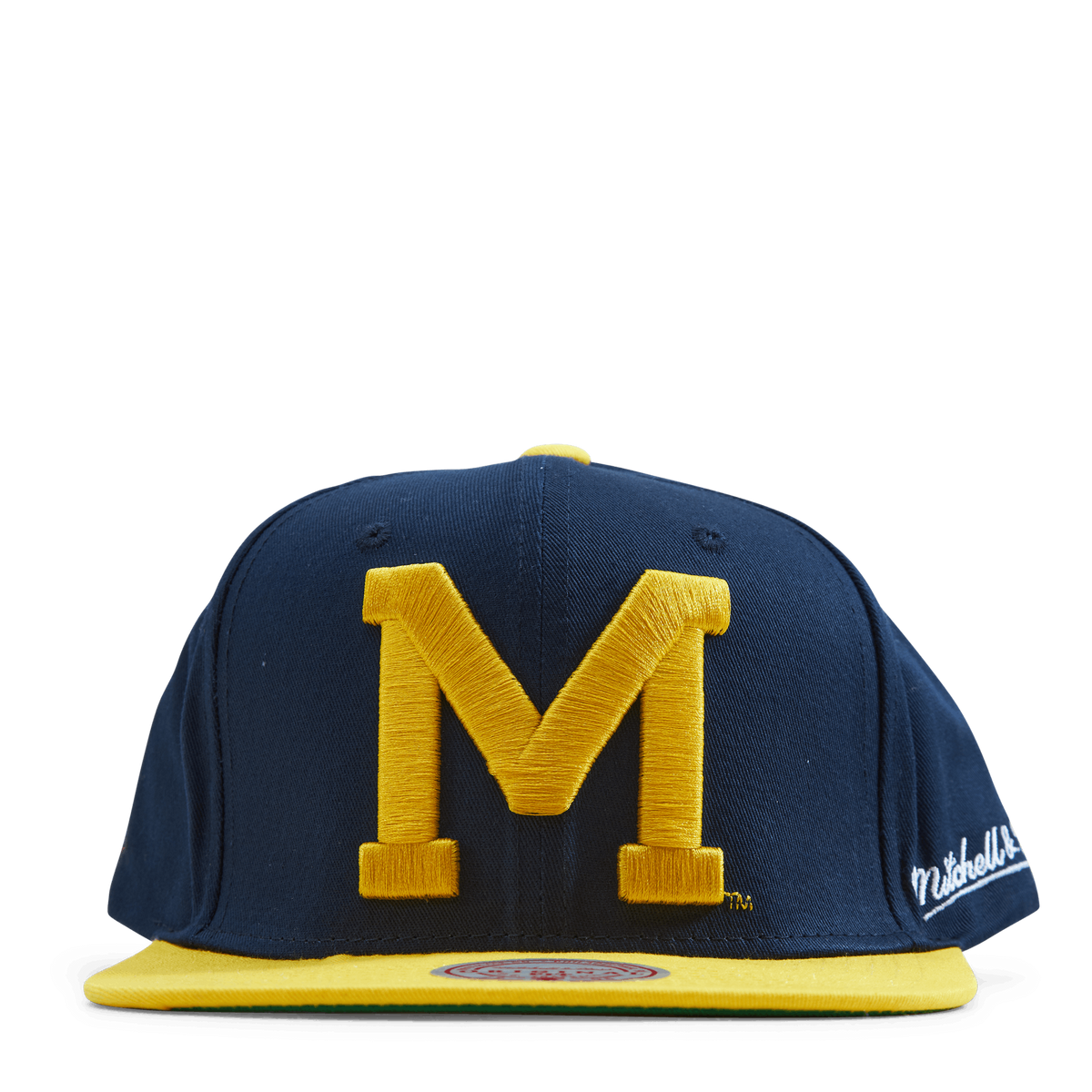 Michigan Back In Action Snapback