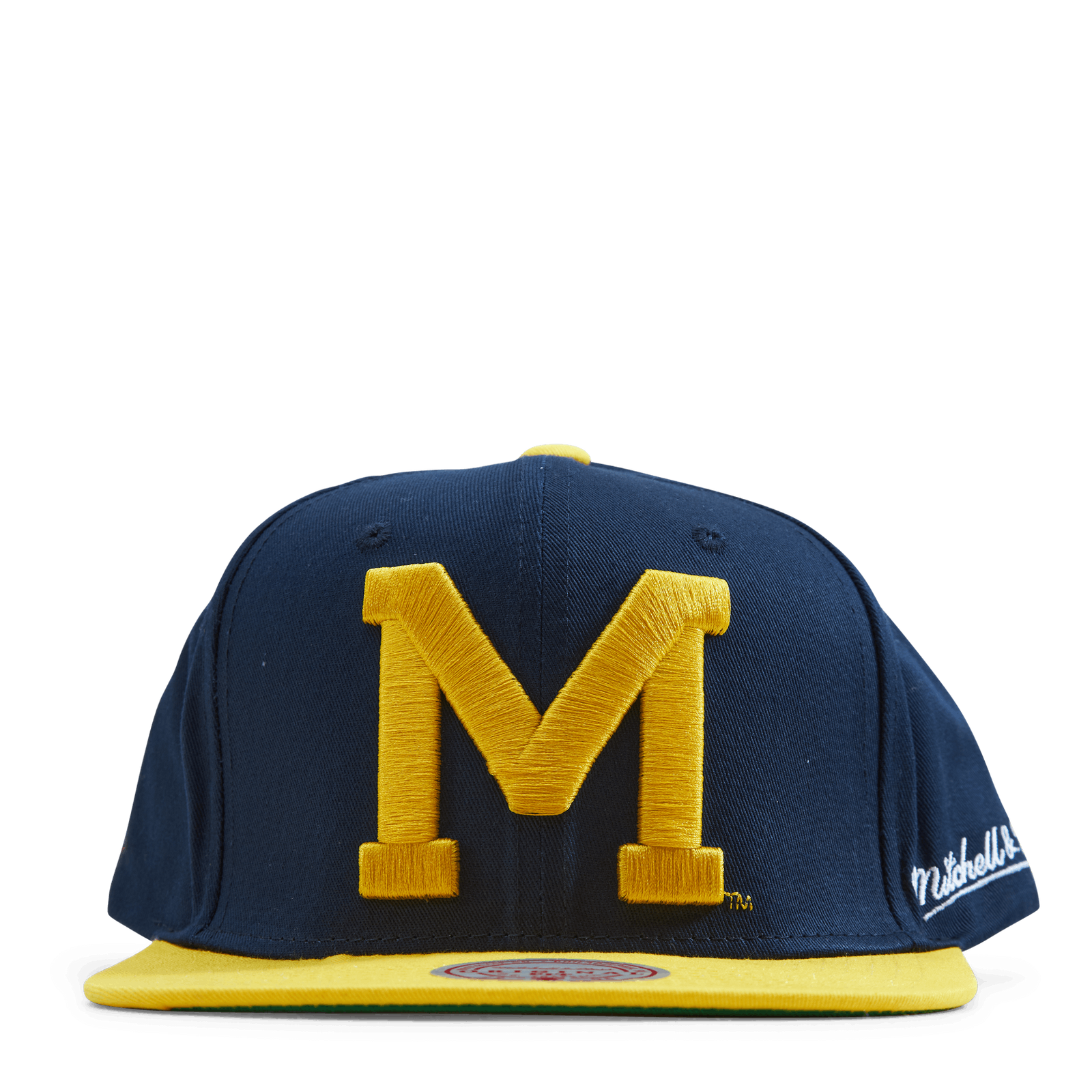 Michigan Back In Action Snapback