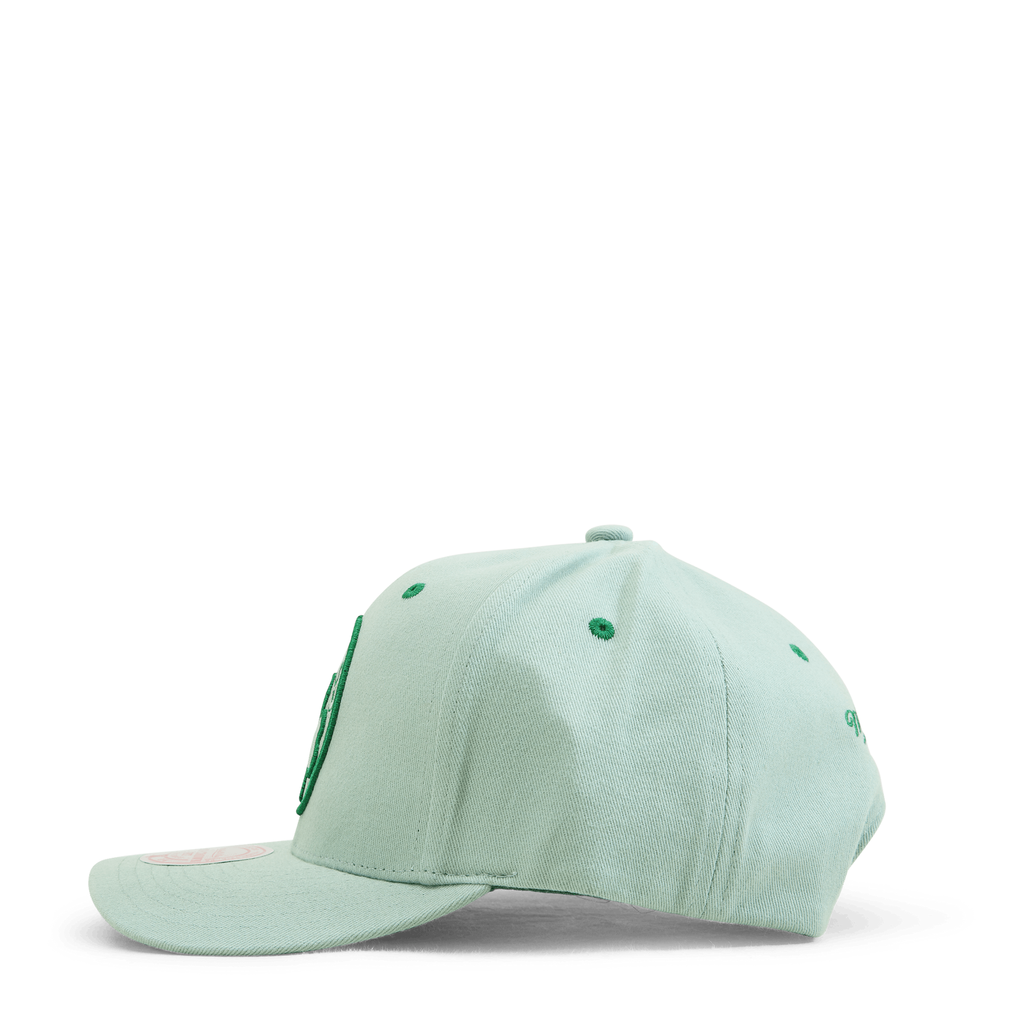 Celtics Space Knit Pro Snapback HWC