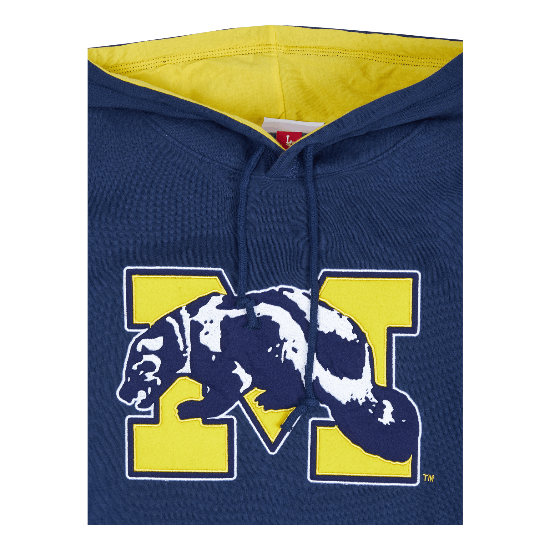 Michigan Team Origins Fleece Hoodie