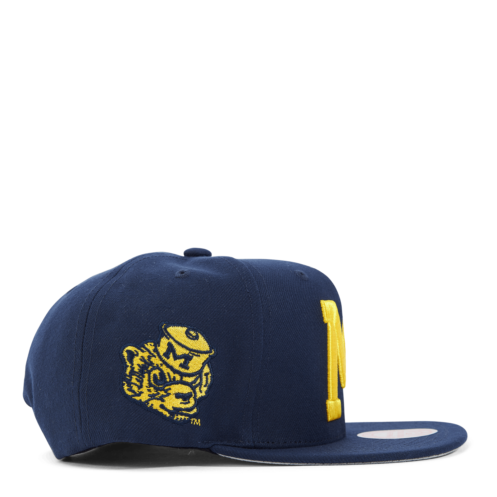 Michigan Core Side Snapback