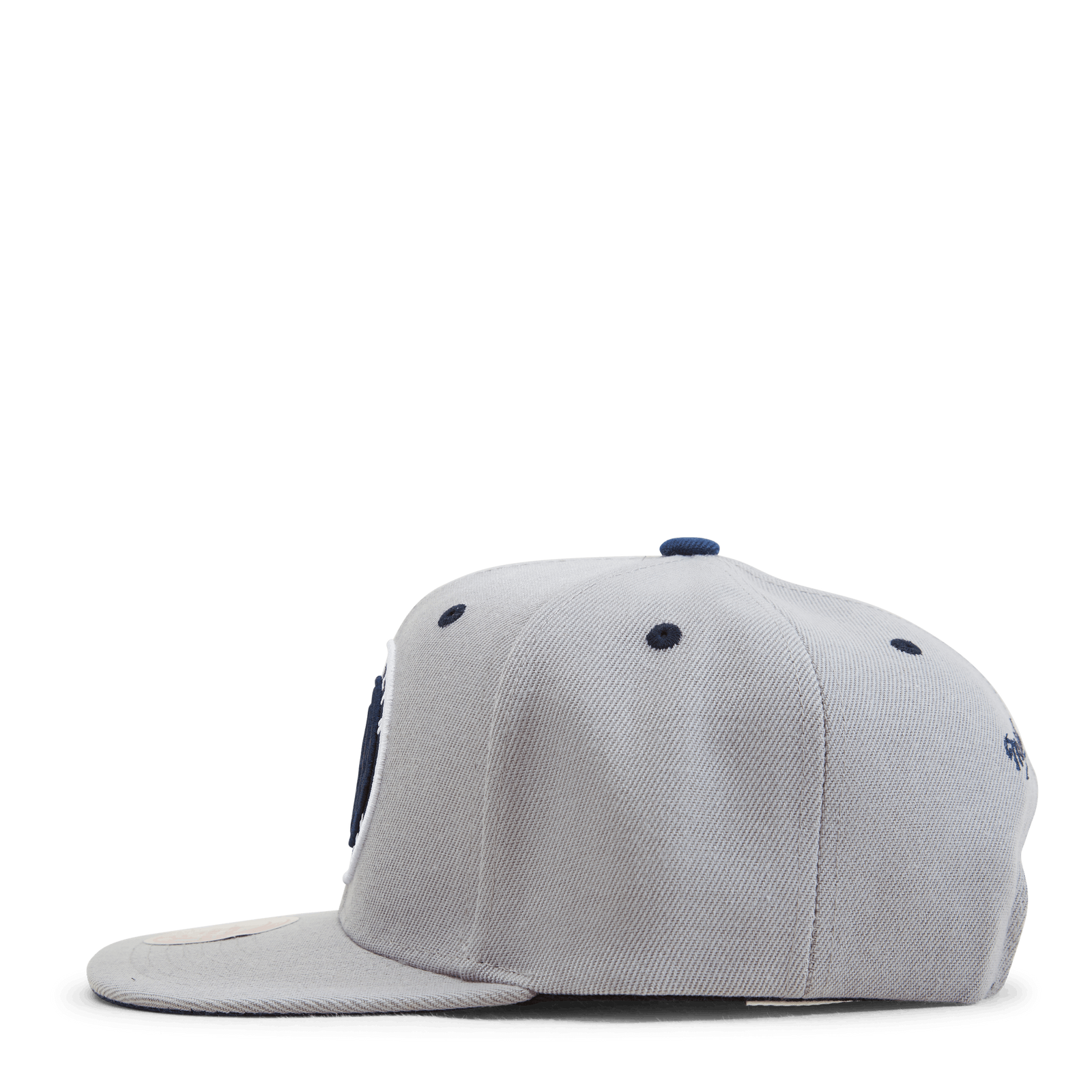 Nets The District Snapback