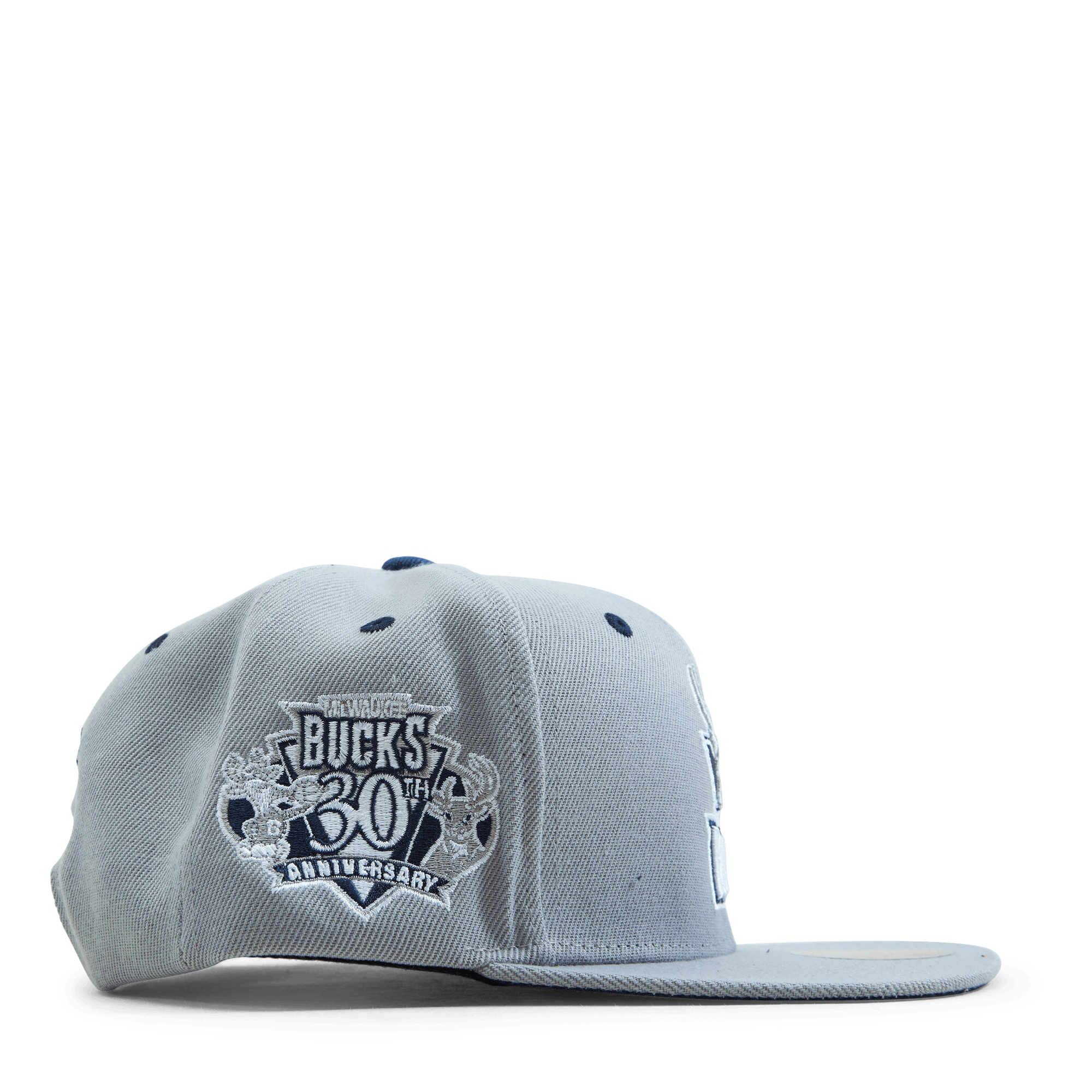 Bucks The District Snapback HWC