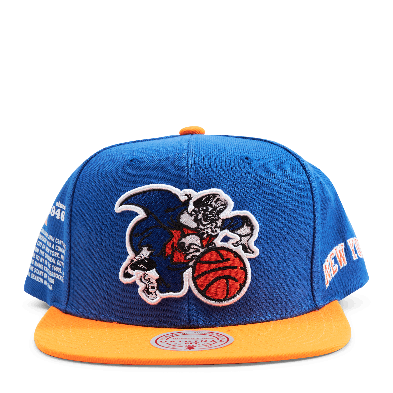 Team Origins Snapback