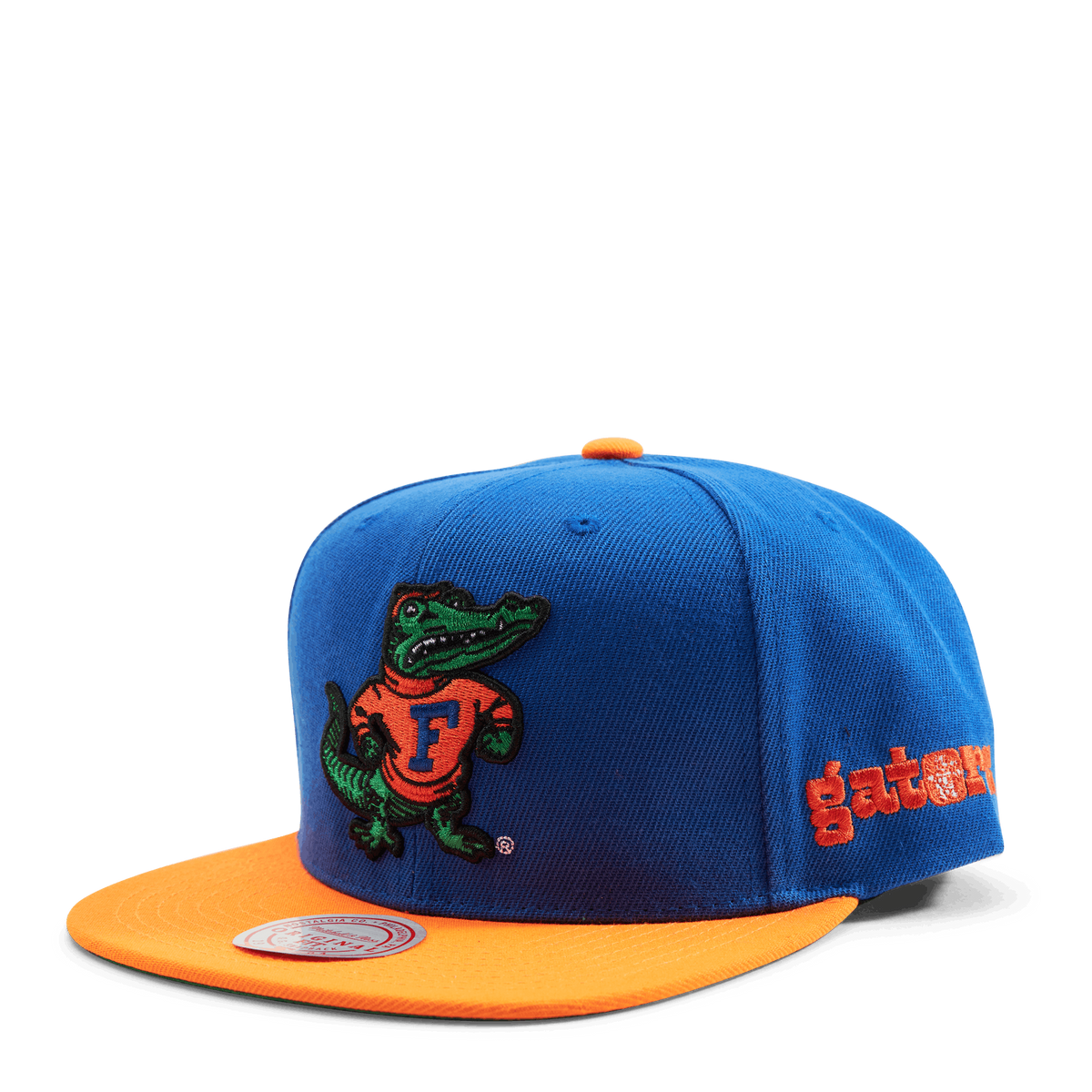 Gators Team Origins Snapback