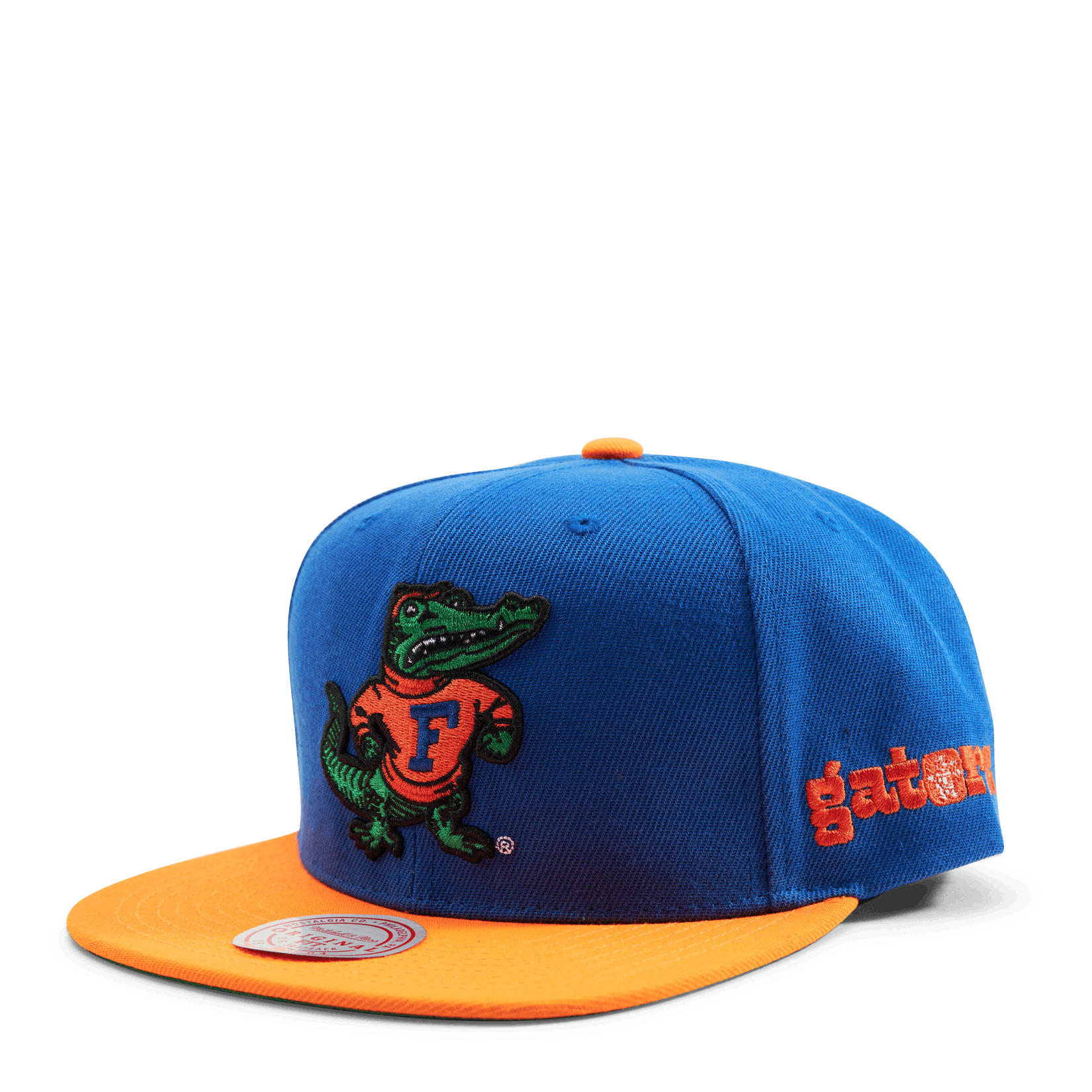 Gators Team Origins Snapback