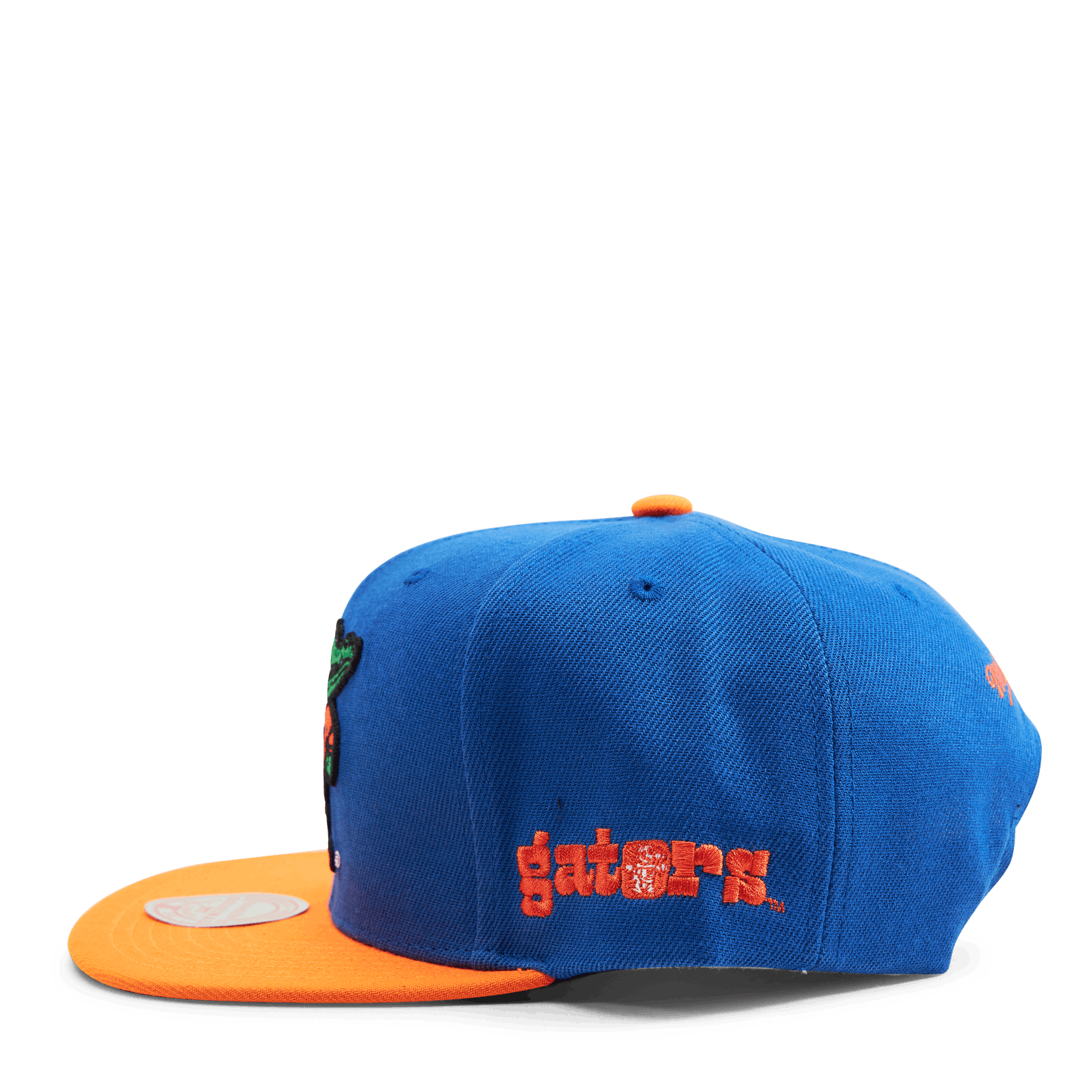 Gators Team Origins Snapback