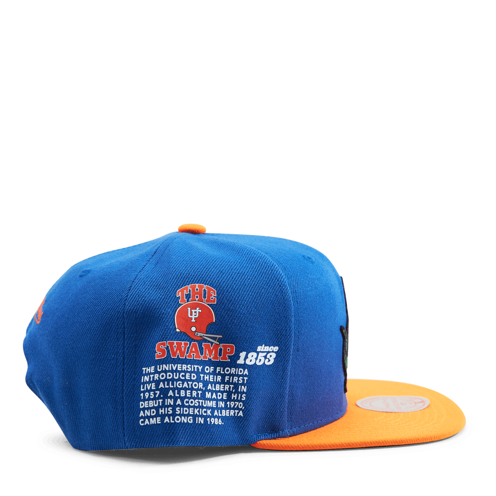 Gators Team Origins Snapback