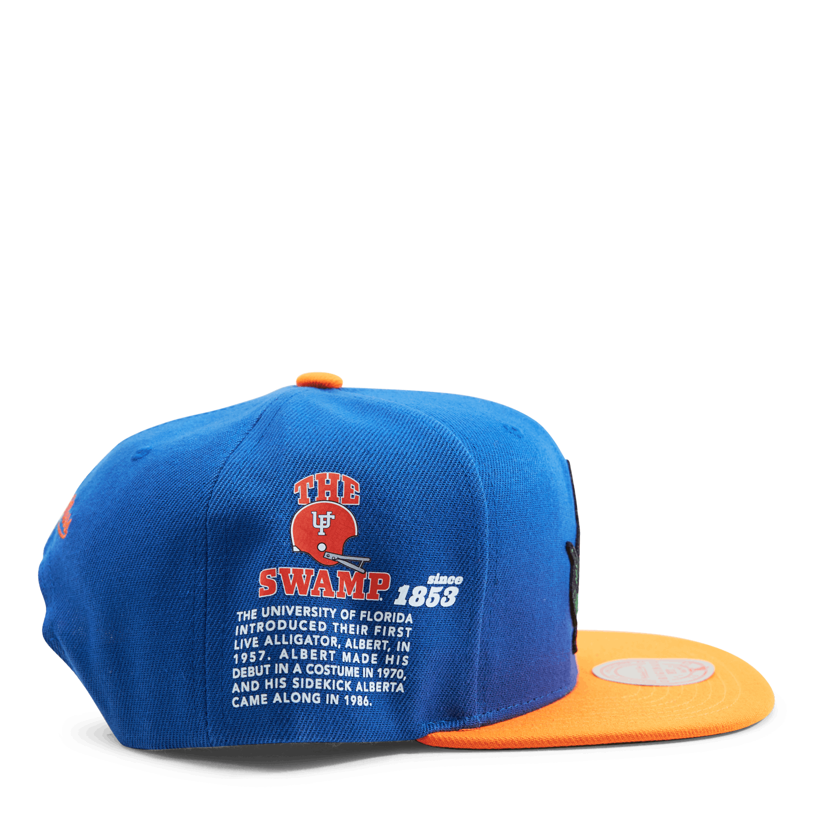 Gators Team Origins Snapback