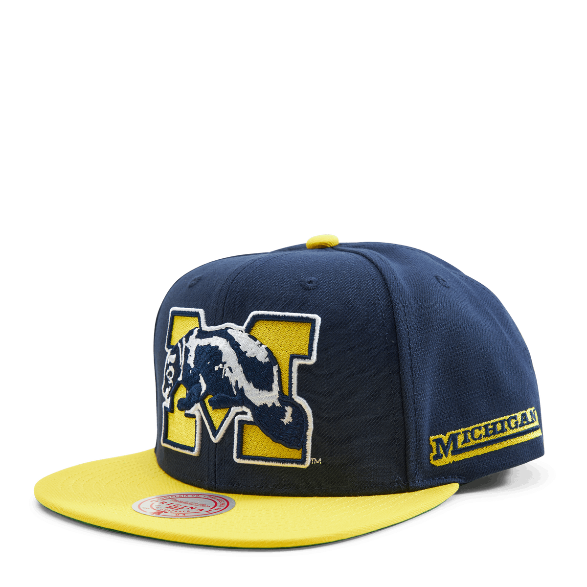 Michigan Team Origins Snapback