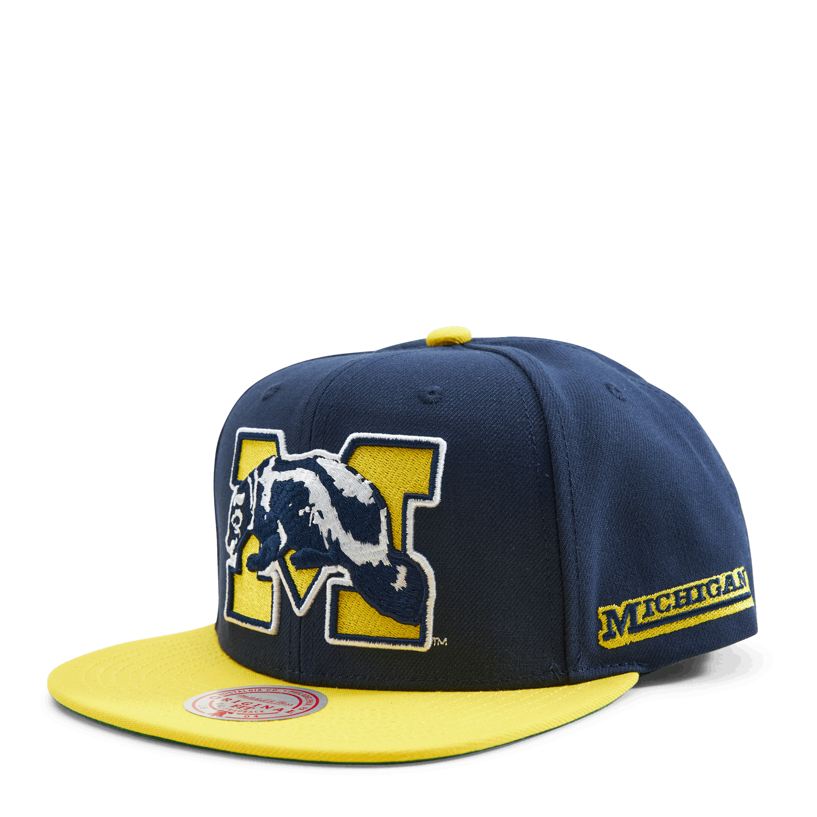 Michigan Team Origins Snapback