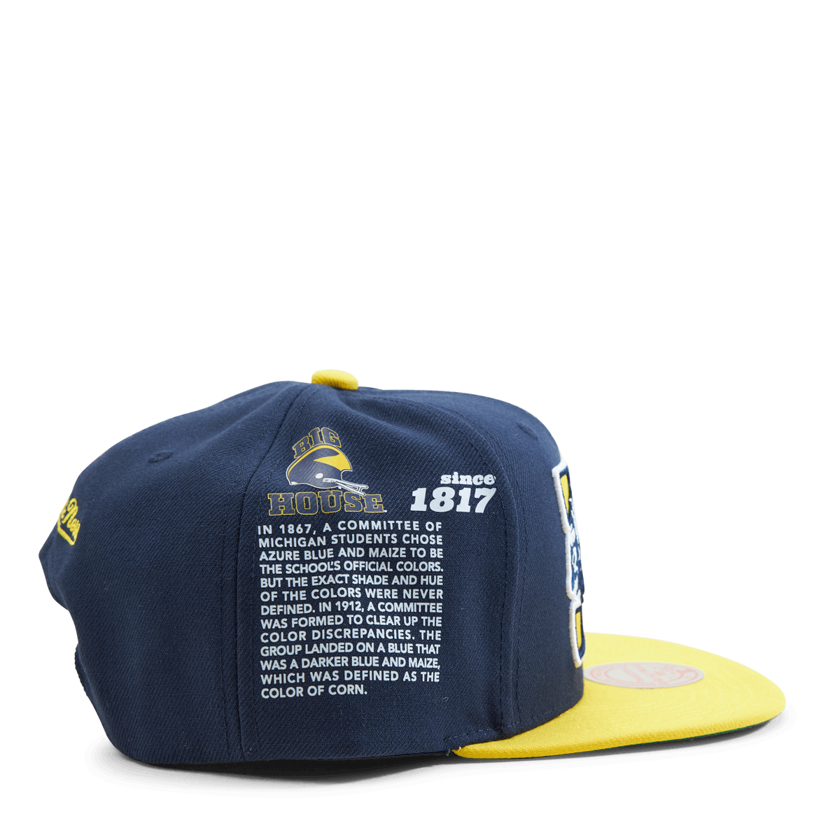 Michigan Team Origins Snapback