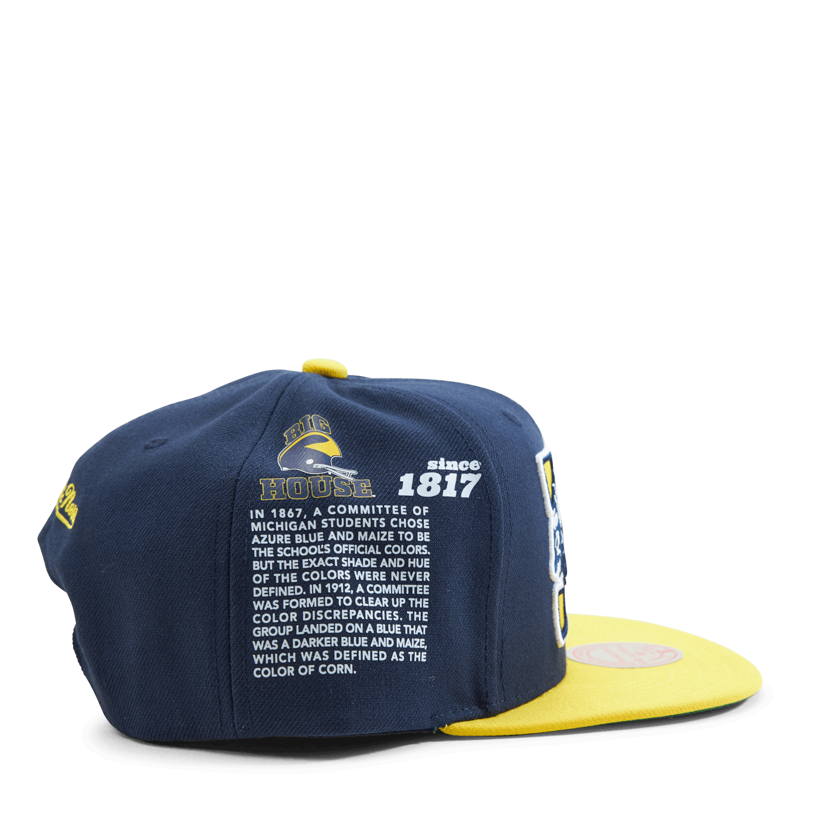 Michigan Team Origins Snapback