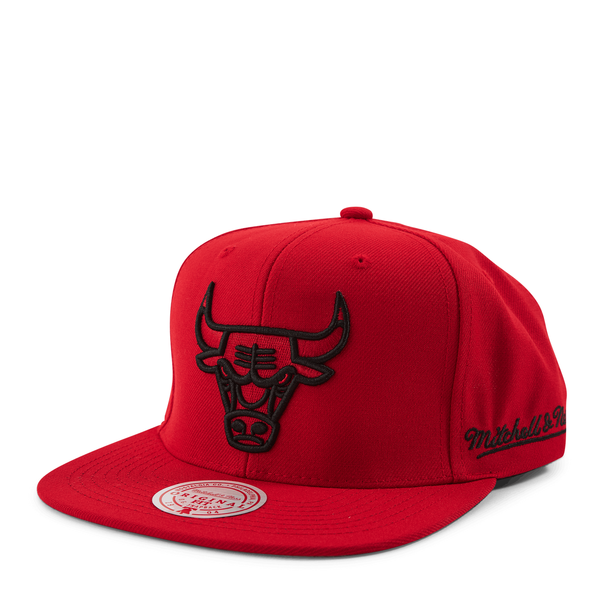 Christmas Day Snapback