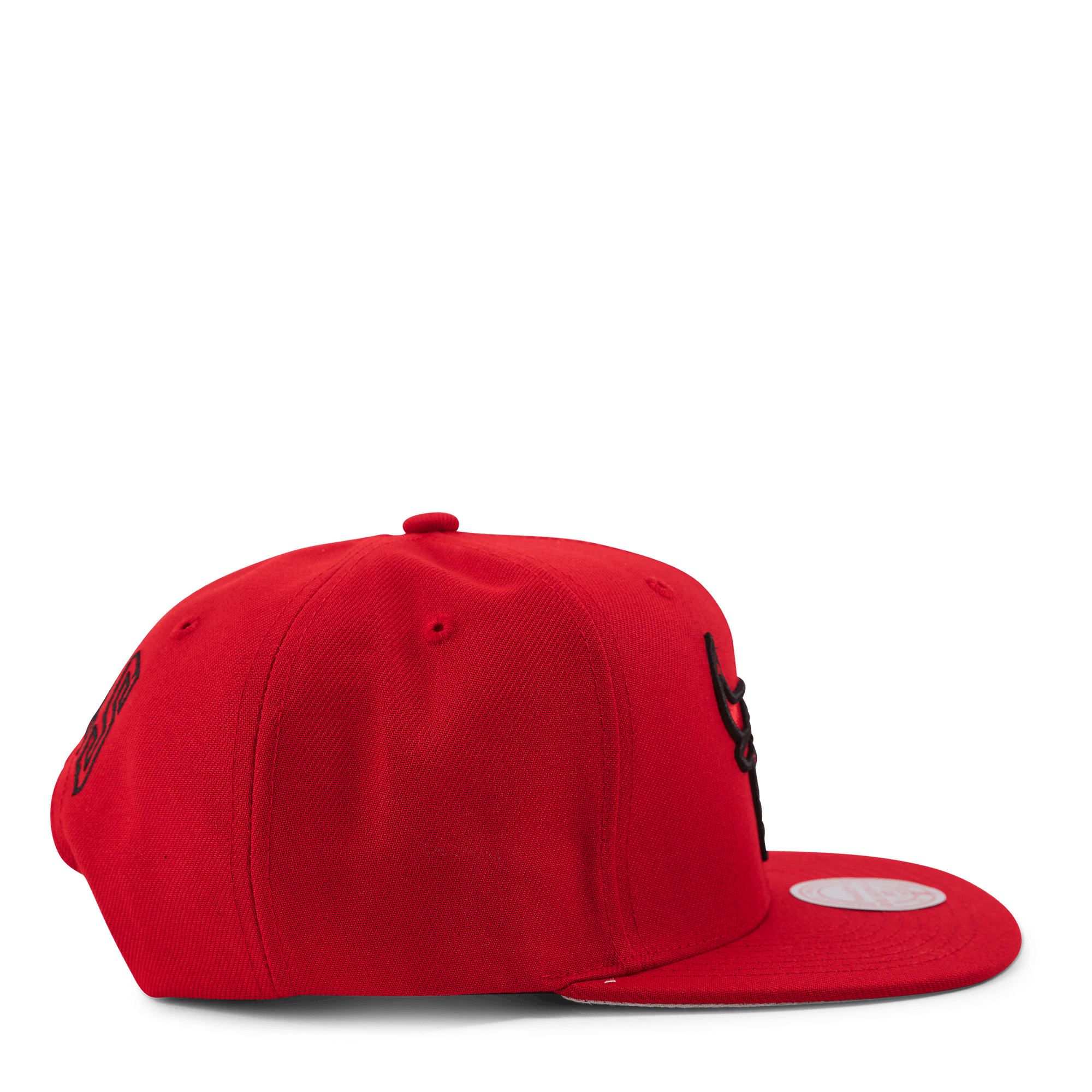 Christmas Day Snapback