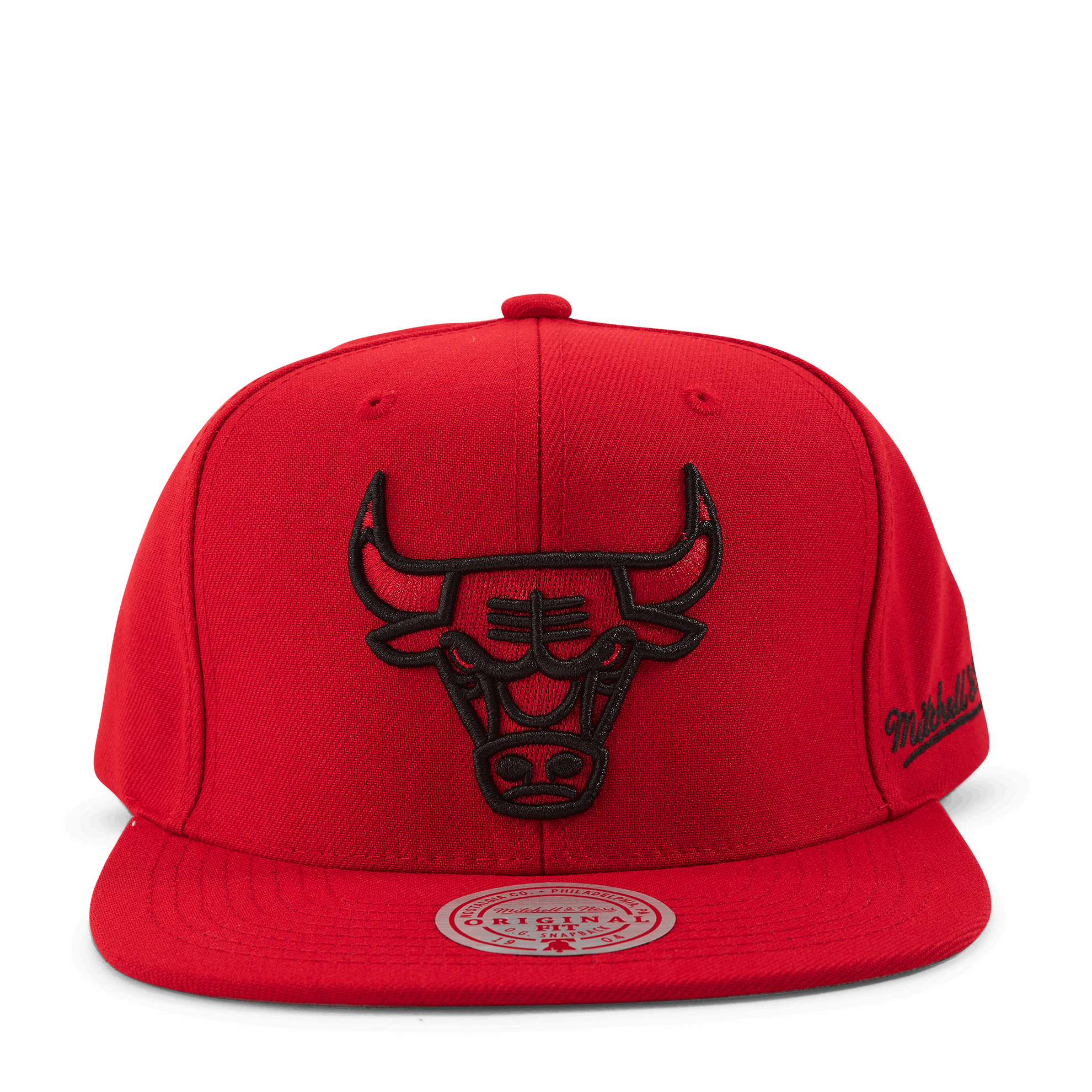 Christmas Day Snapback