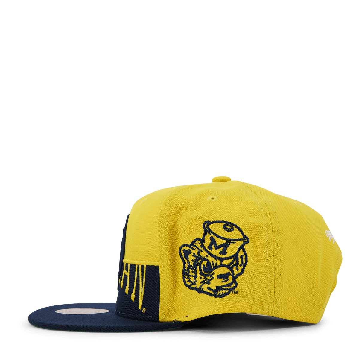 Michigan Half & Half Snapback