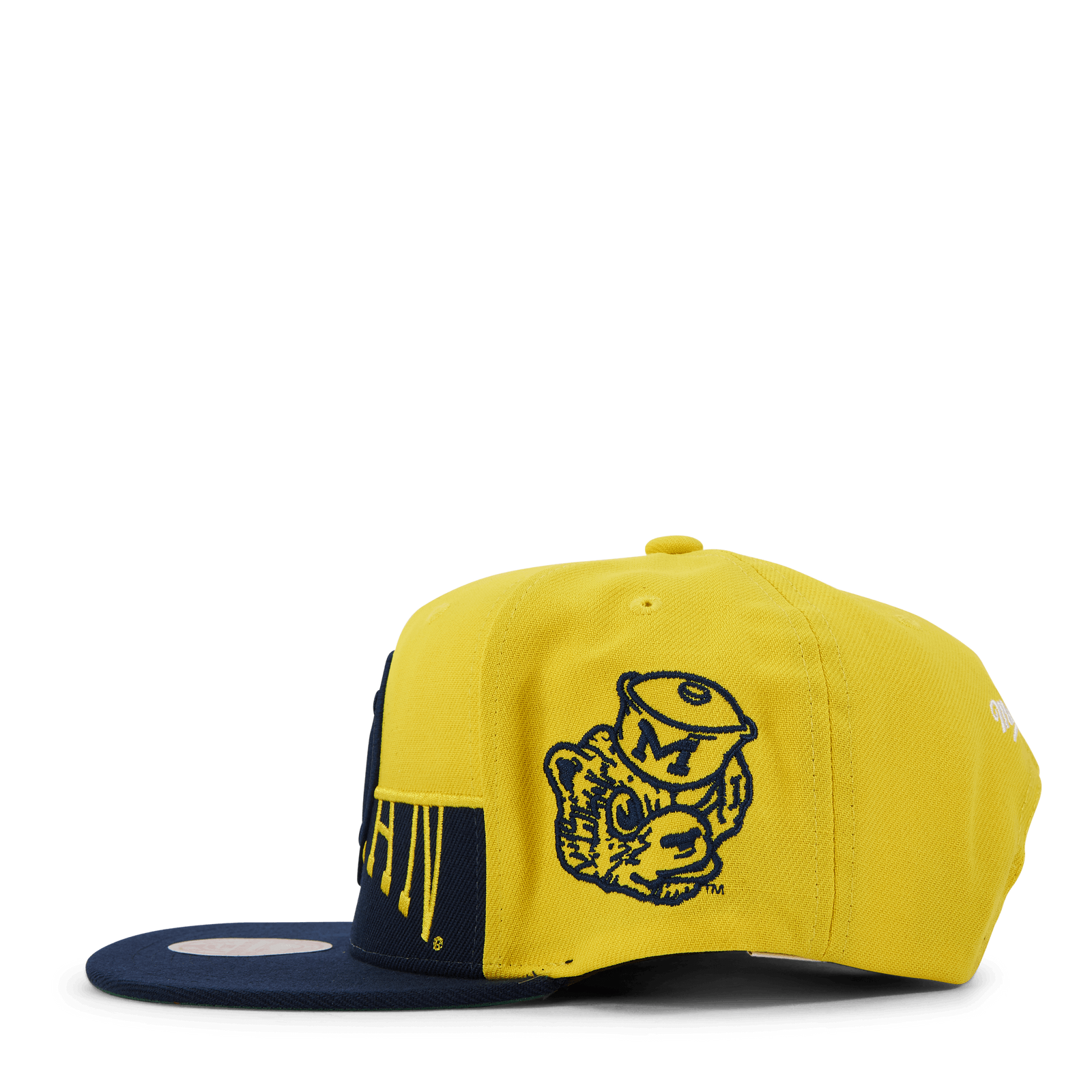 Michigan Half & Half Snapback