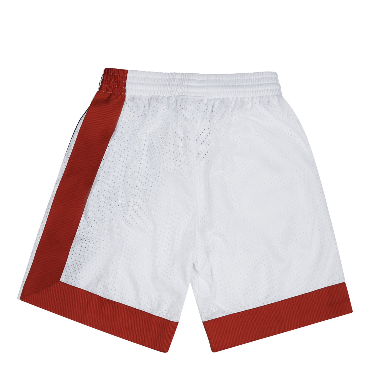 Nets Swingman Shorts 73-74