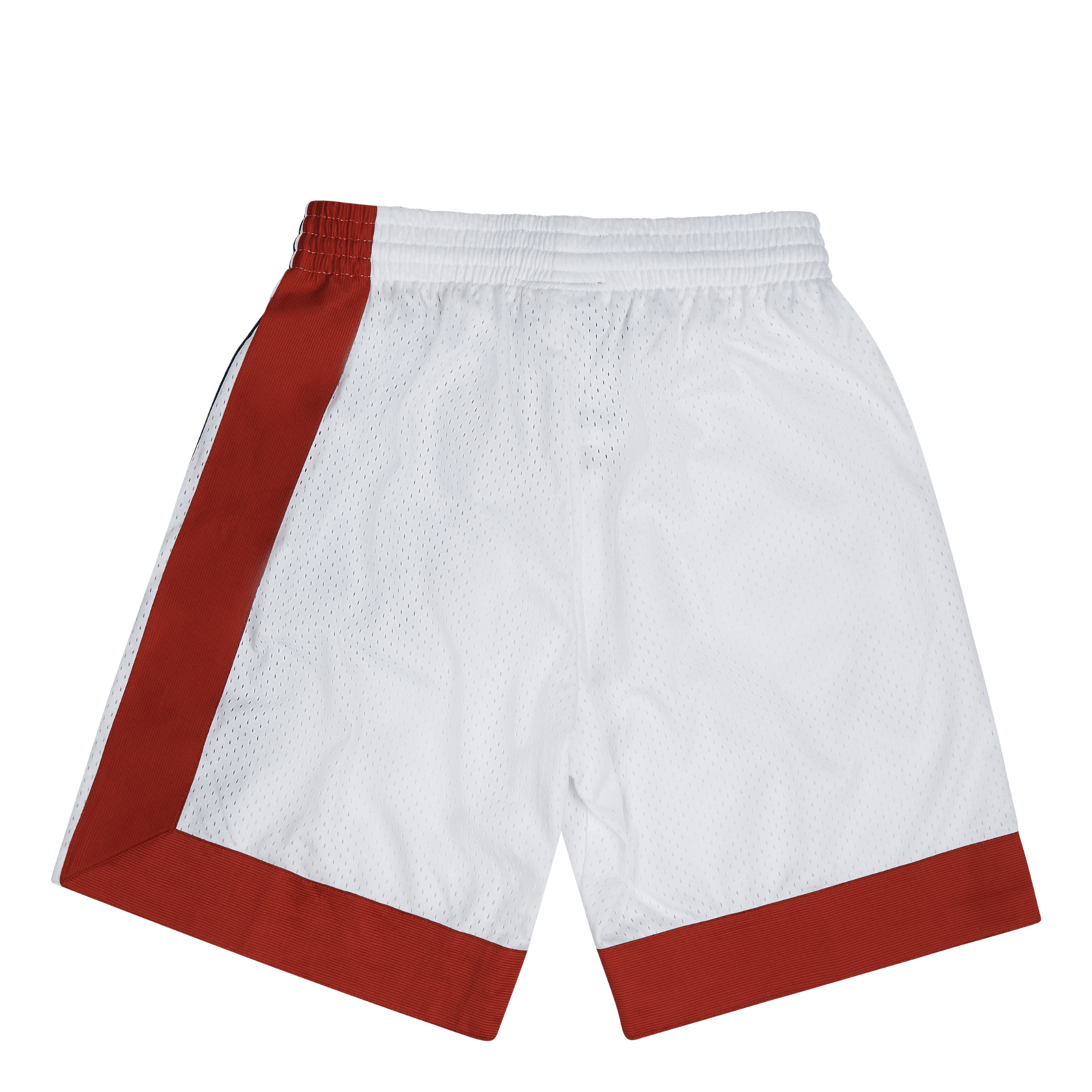 Nets Swingman Shorts 73-74
