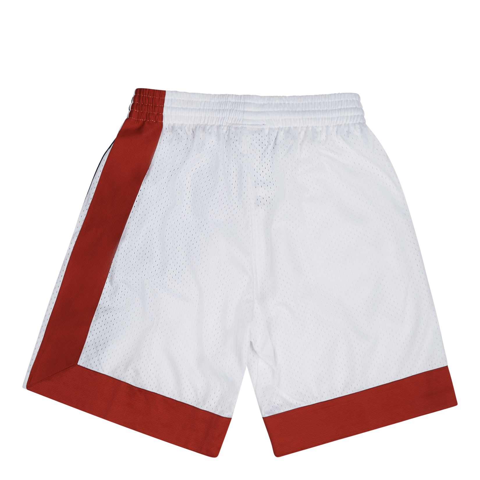 Nets Swingman Shorts 73-74