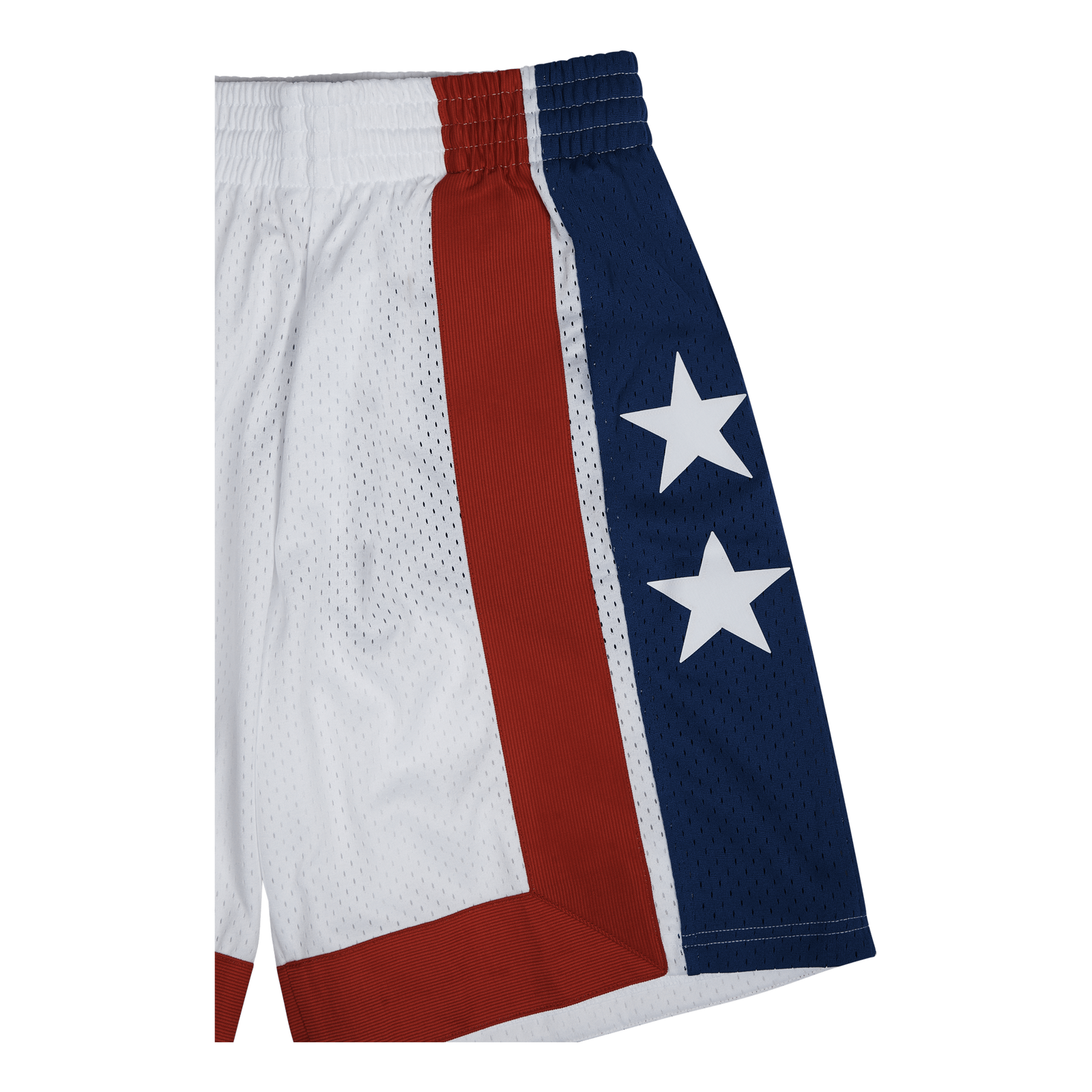 Nets Swingman Shorts 73-74