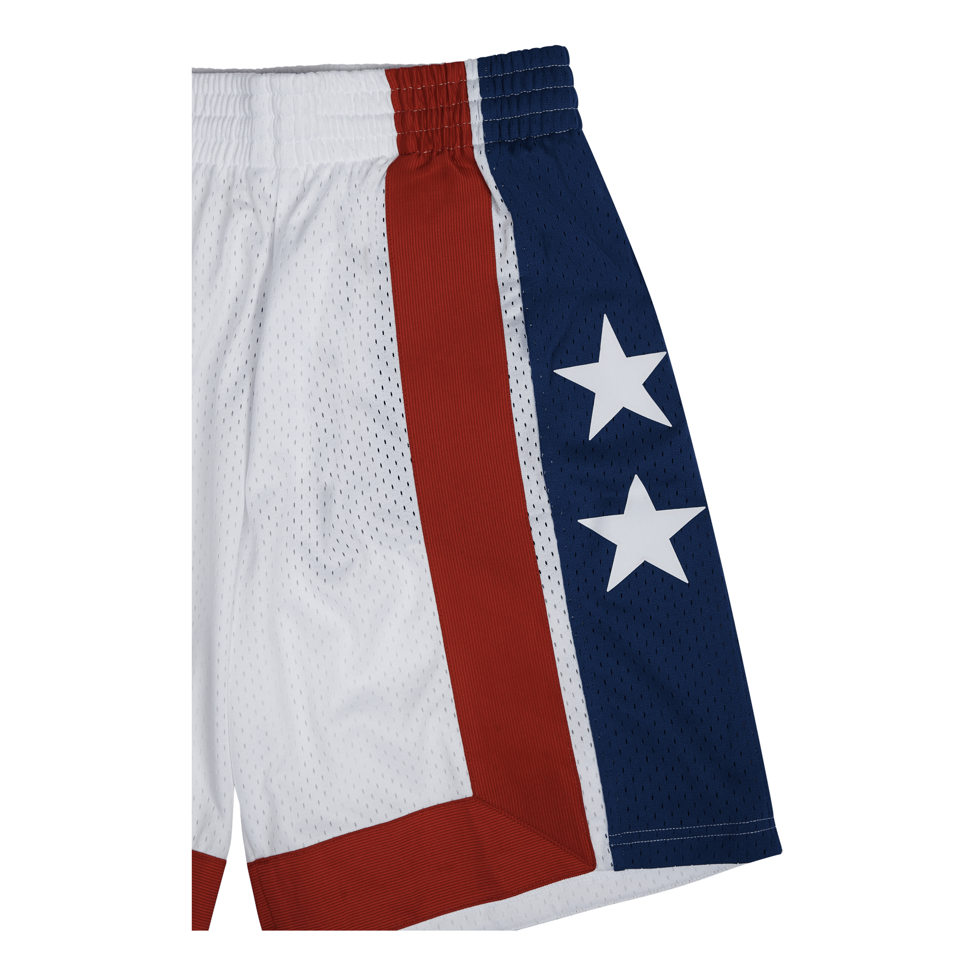 Nets Swingman Shorts 73-74