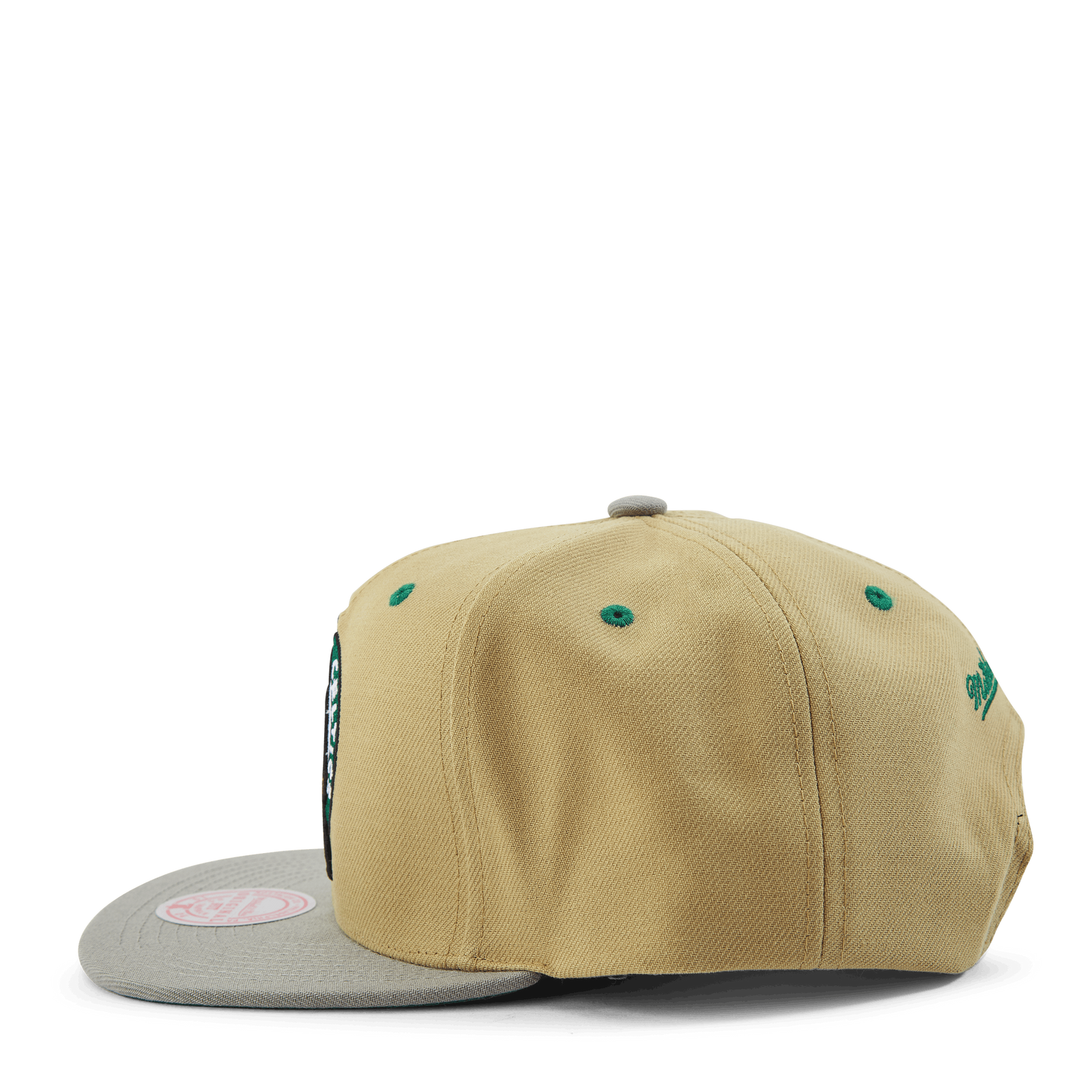 Classic Canvas Snapback