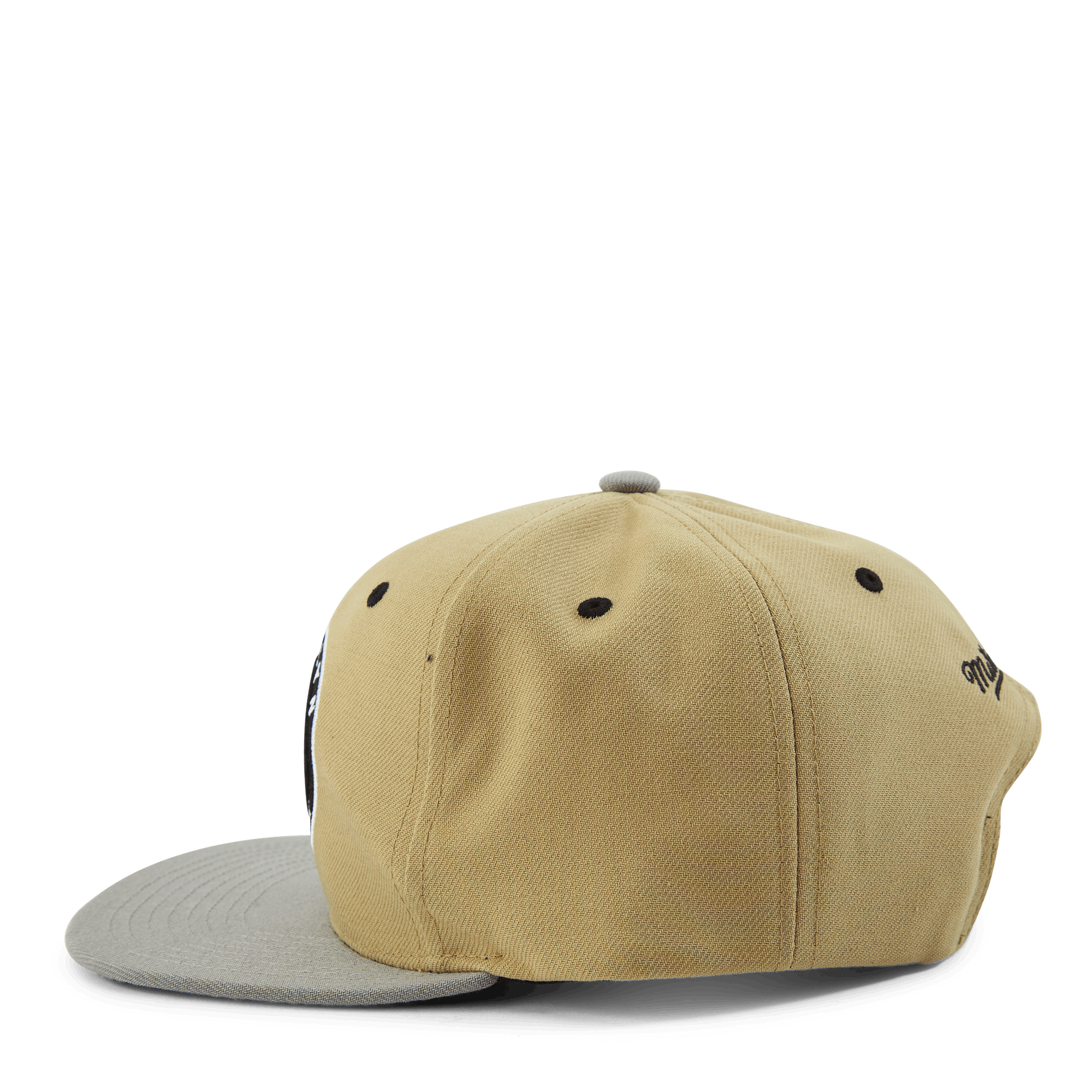 Classic Canvas Snapback