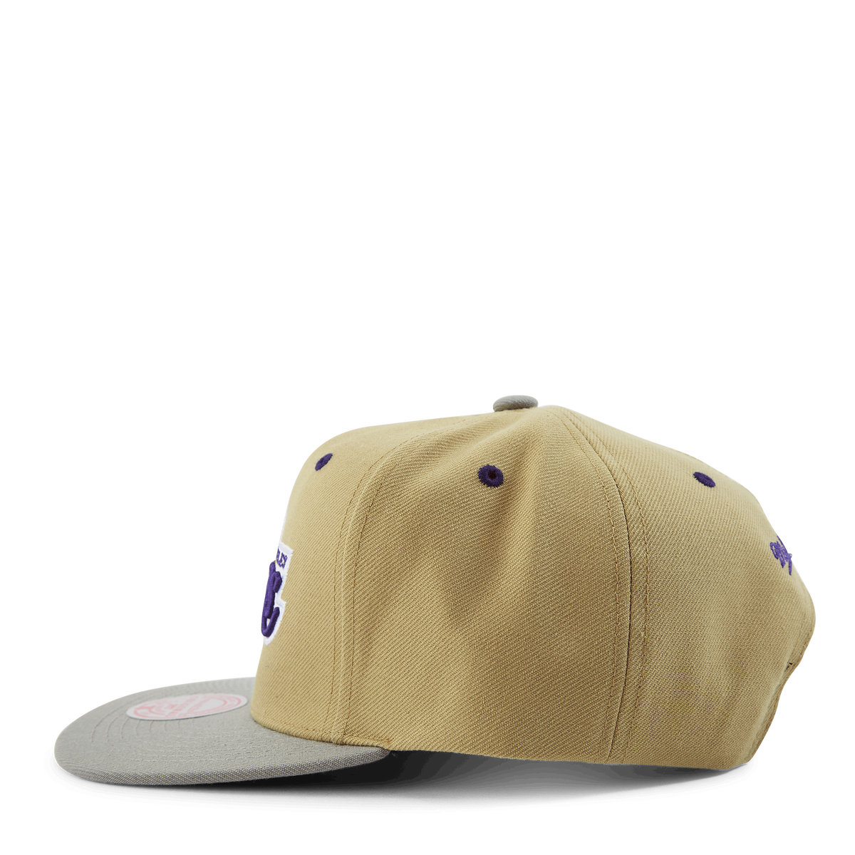 Classic Canvas Snapback