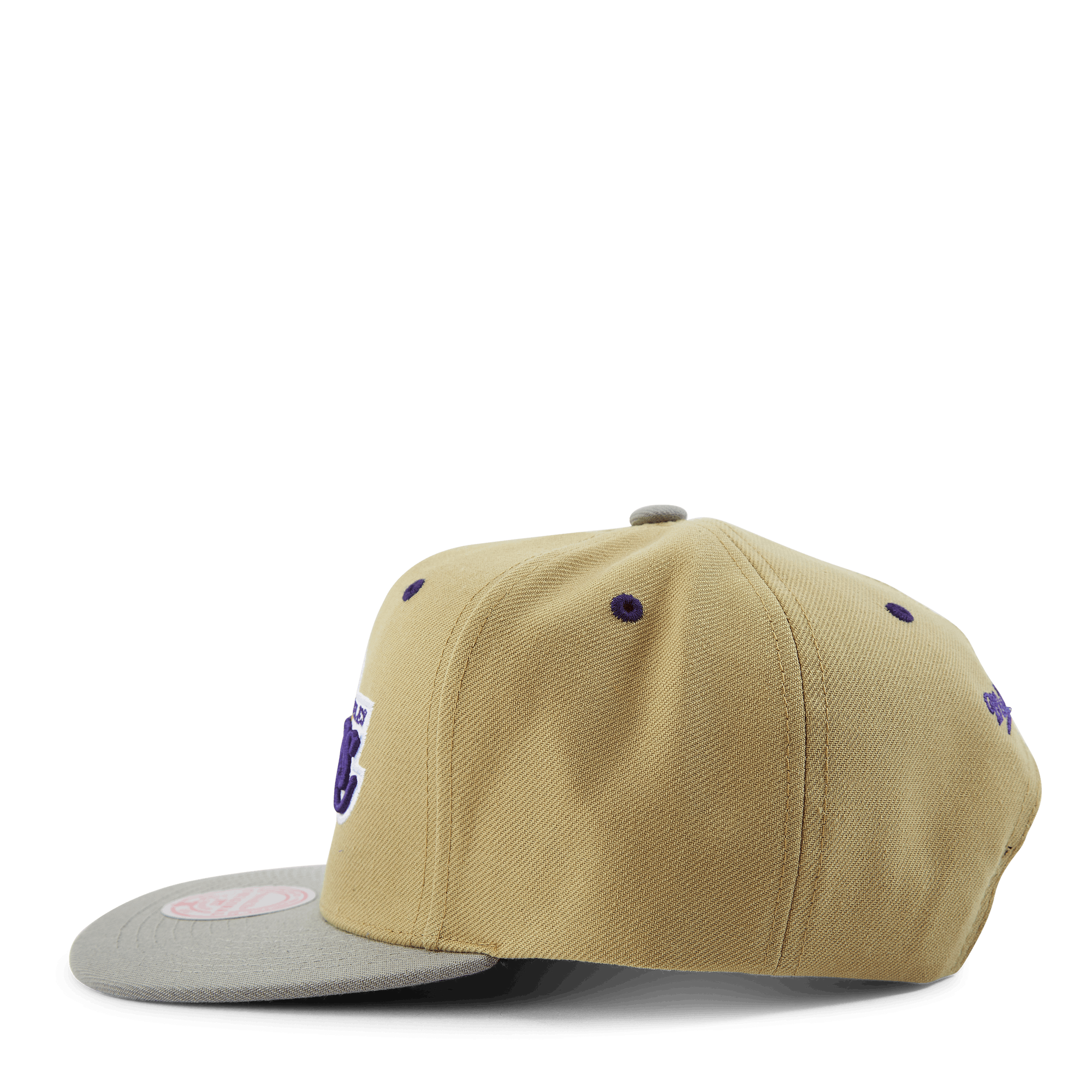 Classic Canvas Snapback