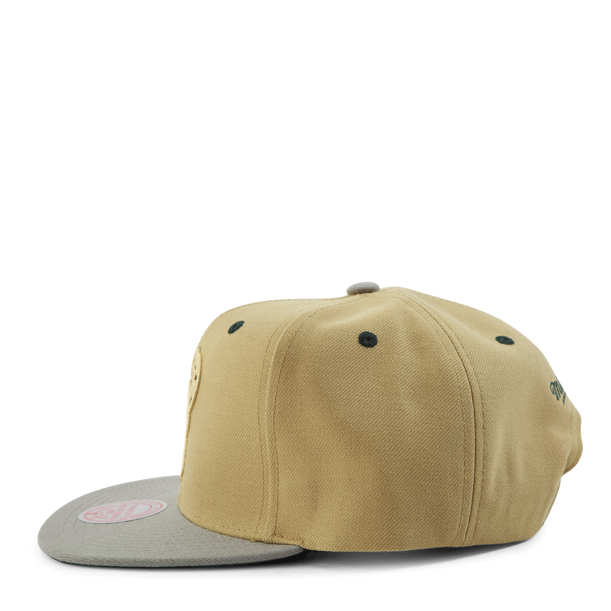 Classic Canvas Snapback