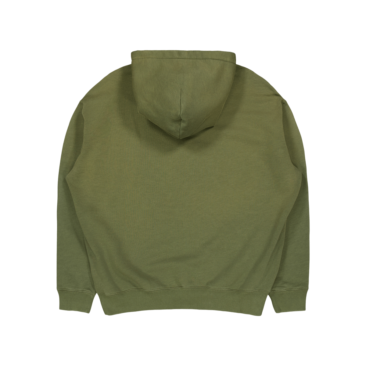 Embroidered Graphic Fleece Hoodie Dark Sage