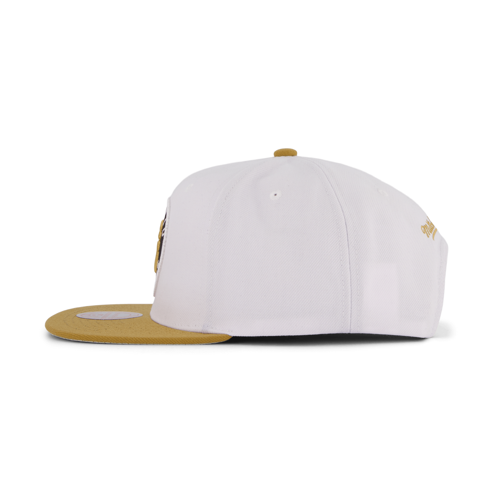 Raptors Side Core 2.0 Snapback