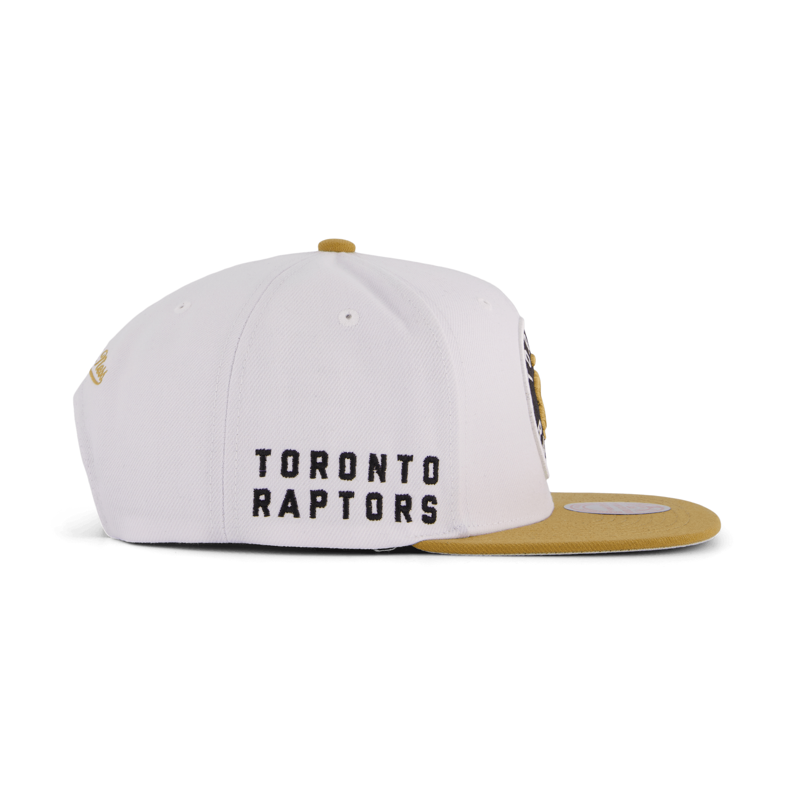 Raptors Side Core 2.0 Snapback