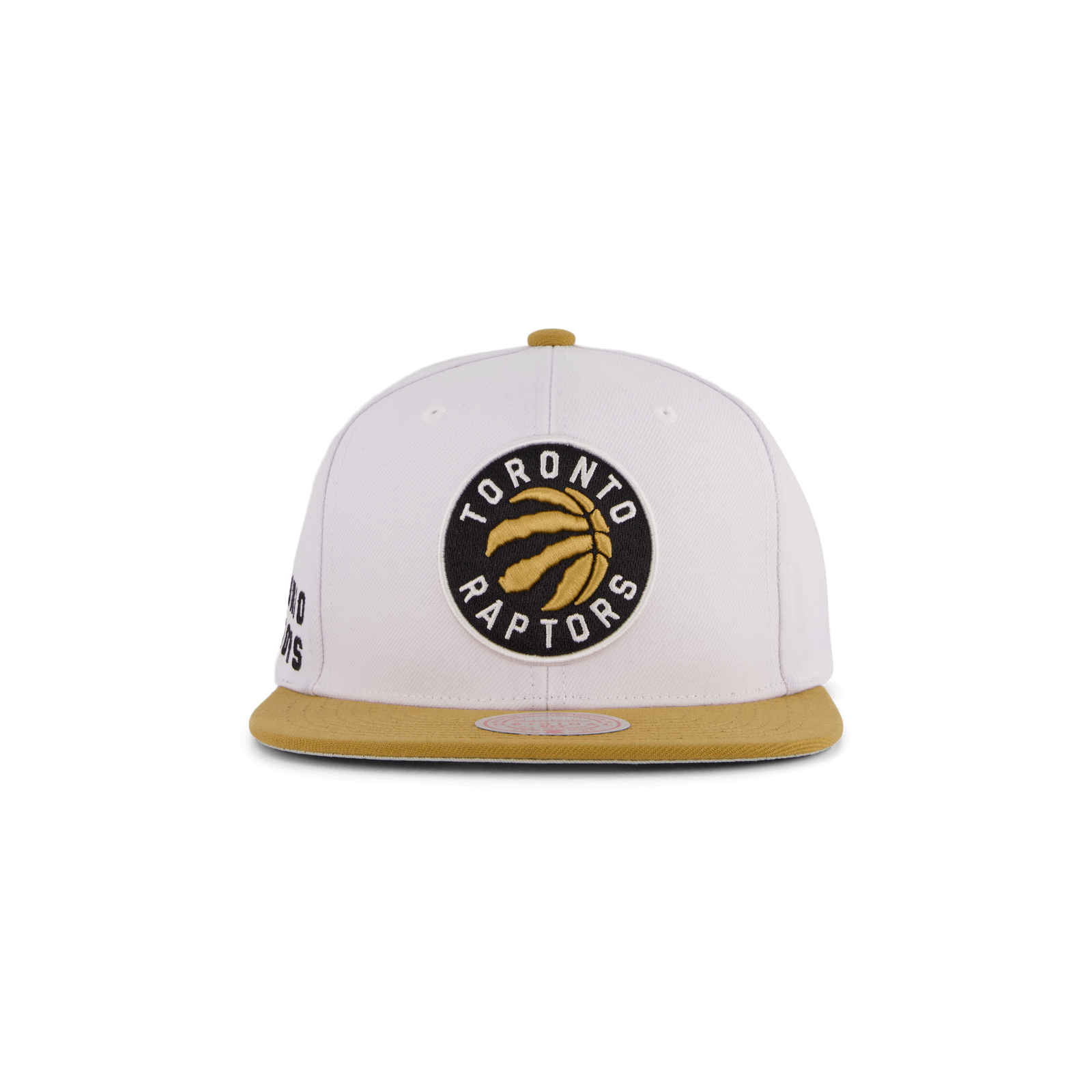 Raptors Side Core 2.0 Snapback