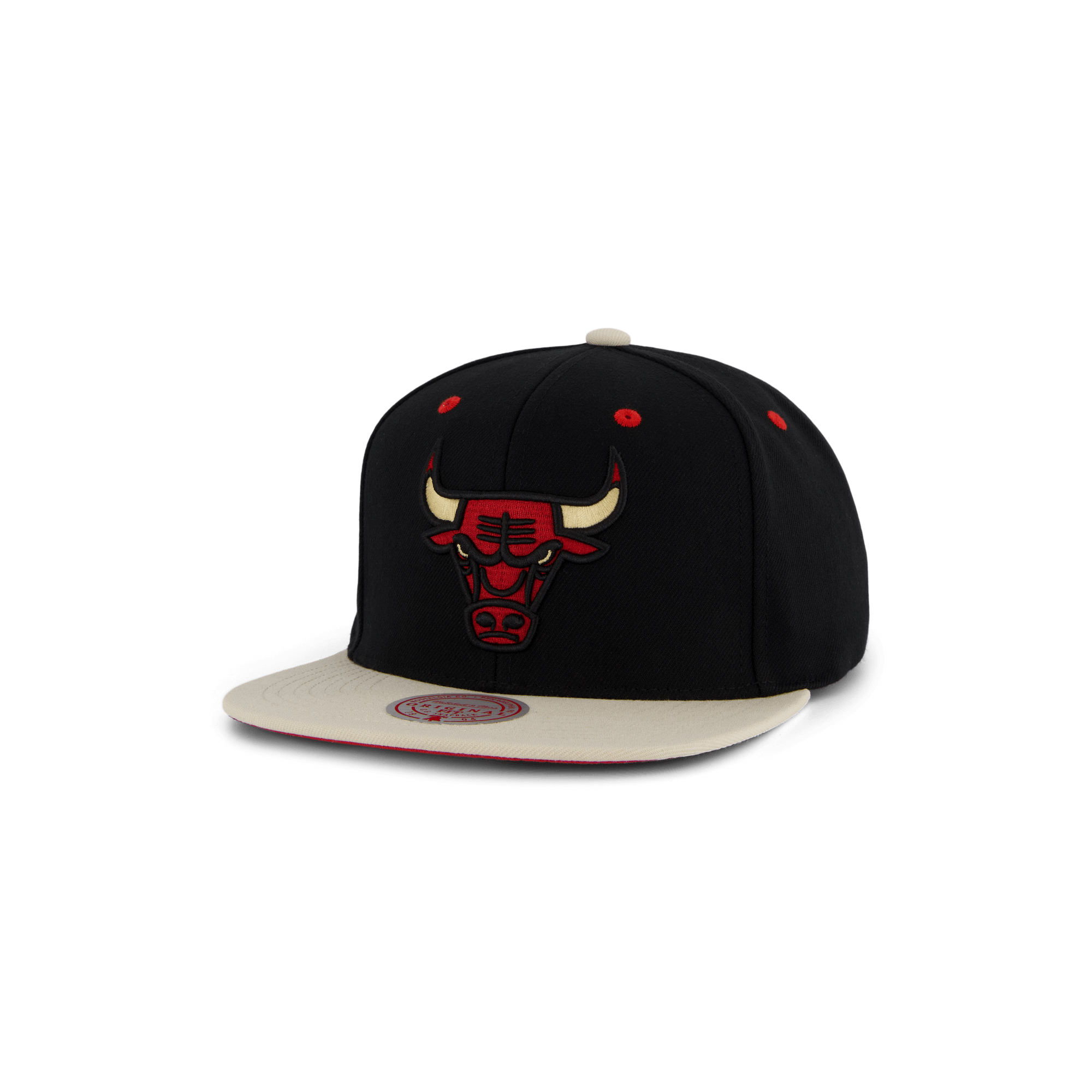 Bulls Pin Drop Snapback